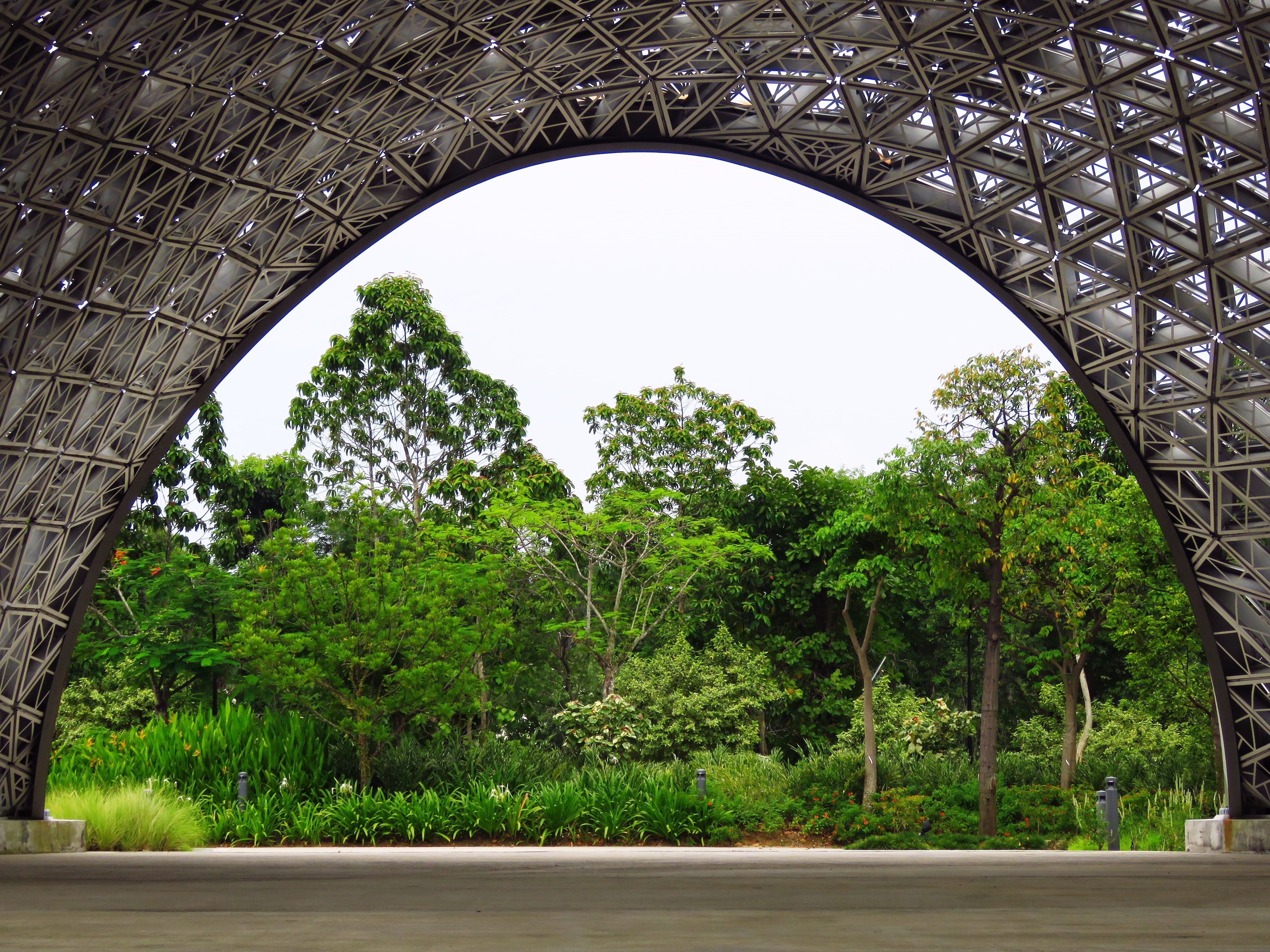 plant, architecture, nature, garden by the bay, arched, transportation, 4K, travel destinations, green color, beauty in nature, clear sky, metal, tree, HD Wallpaper