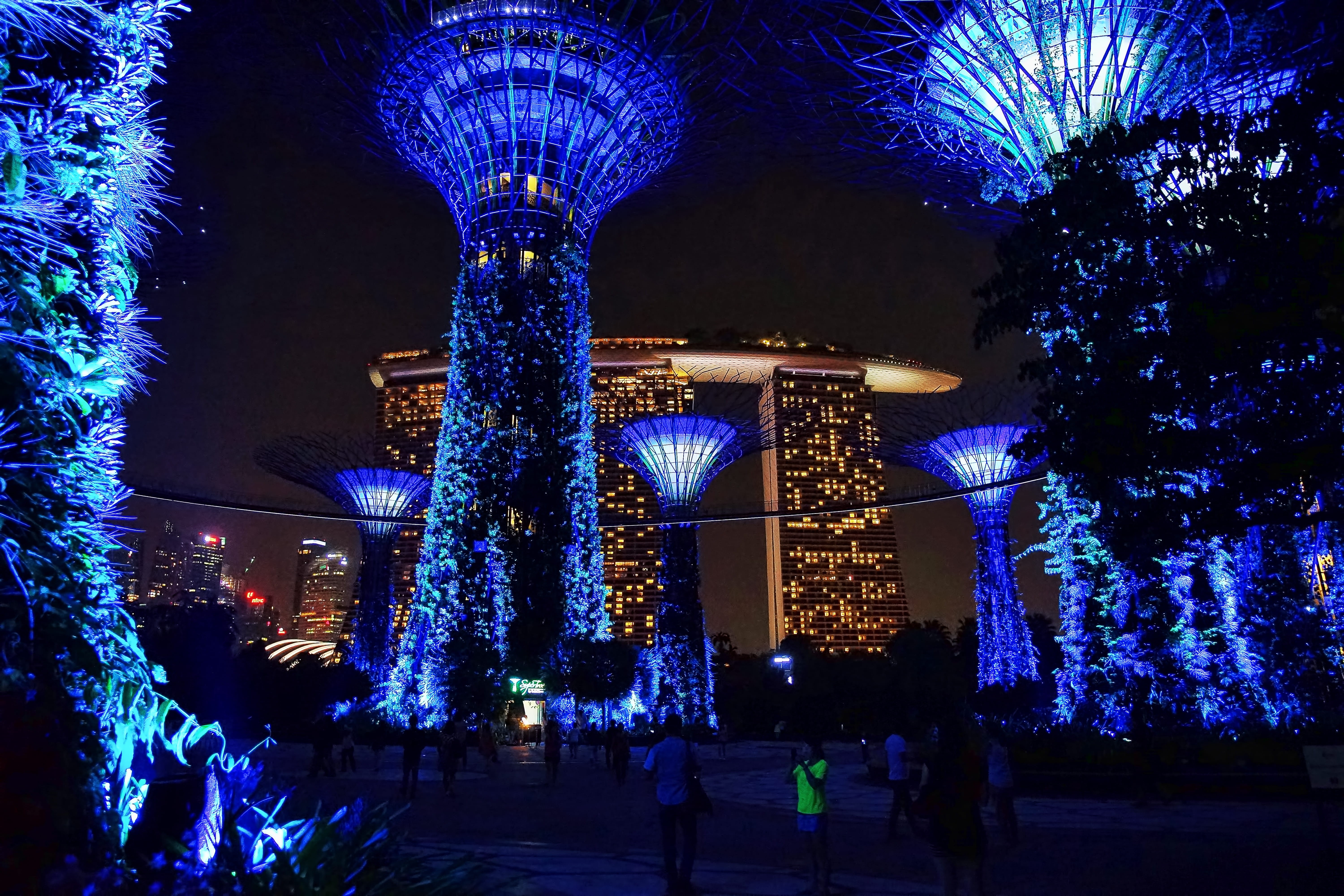 outdoors, marina bay sands, built structure, illuminated, plant, architecture, decoration, christmas lights, supertrees, building exterior, incidental people, HD Wallpaper