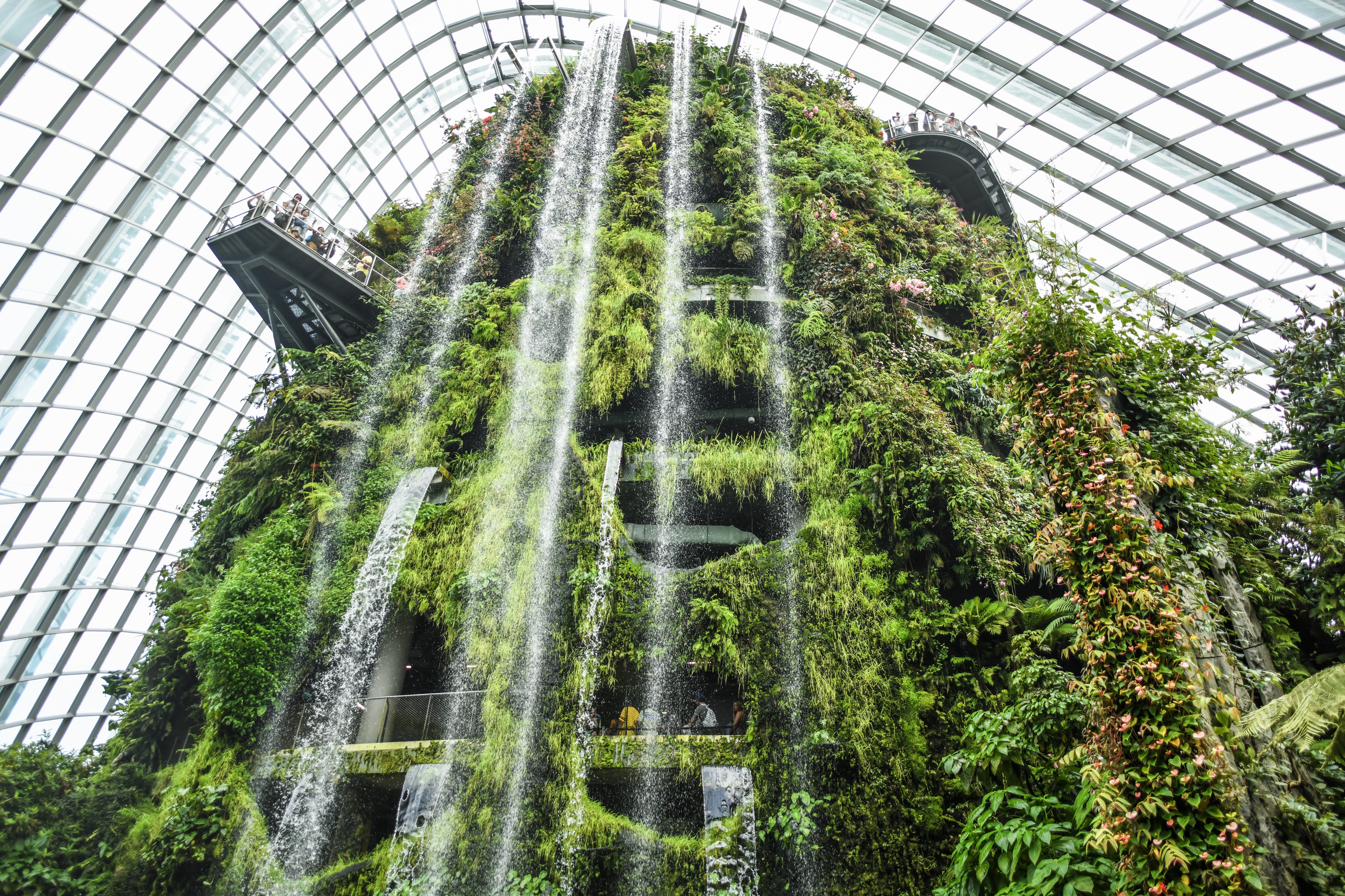 beauty in nature, day, nature, water, tree, outdoors, flowing water, plant nursery, architecture, green color, green, tower, gardens by the bay, leafed, HD Wallpaper