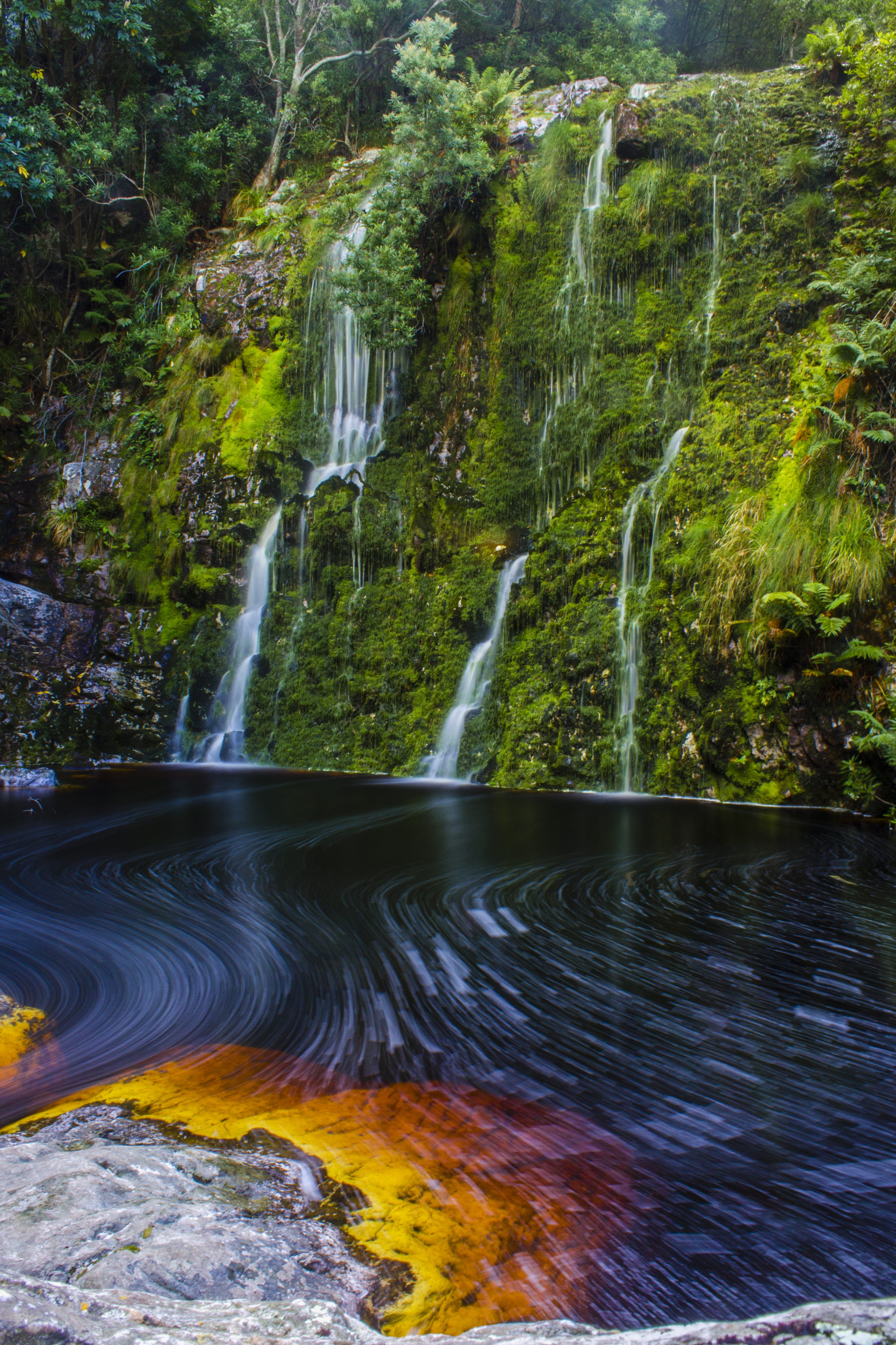 power in nature, forest, bettys bay, blurred motion, motion, rock, water, botanical, land, falling water, landscape, river, western cape, flowing water, Phone HD Wallpaper