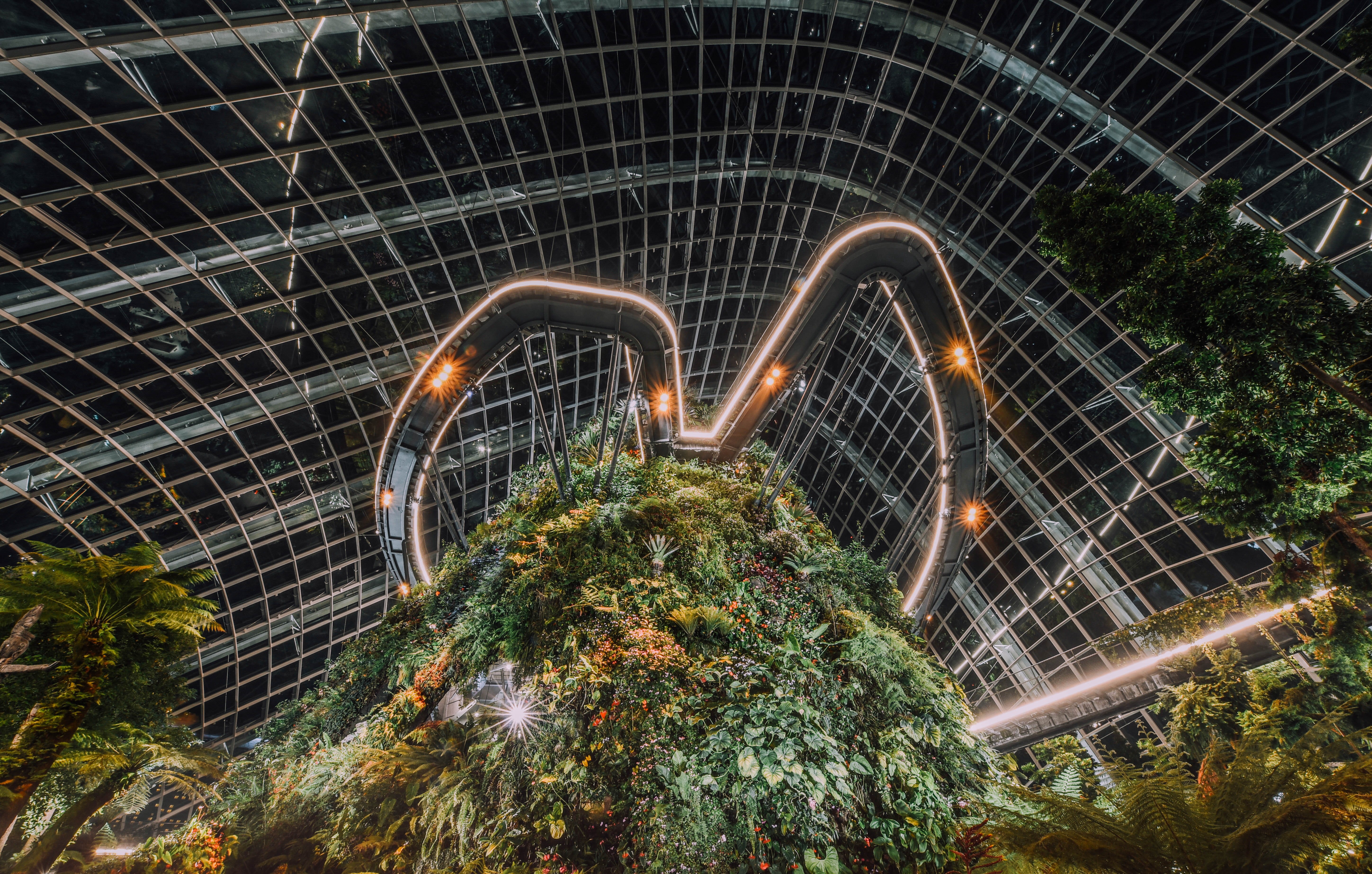 green, outdoors, tourism, night, lights, pattern, long exposure, singapore, light trail, gardens by the bay, glass, no people, connection, night shot, light, HD Wallpaper
