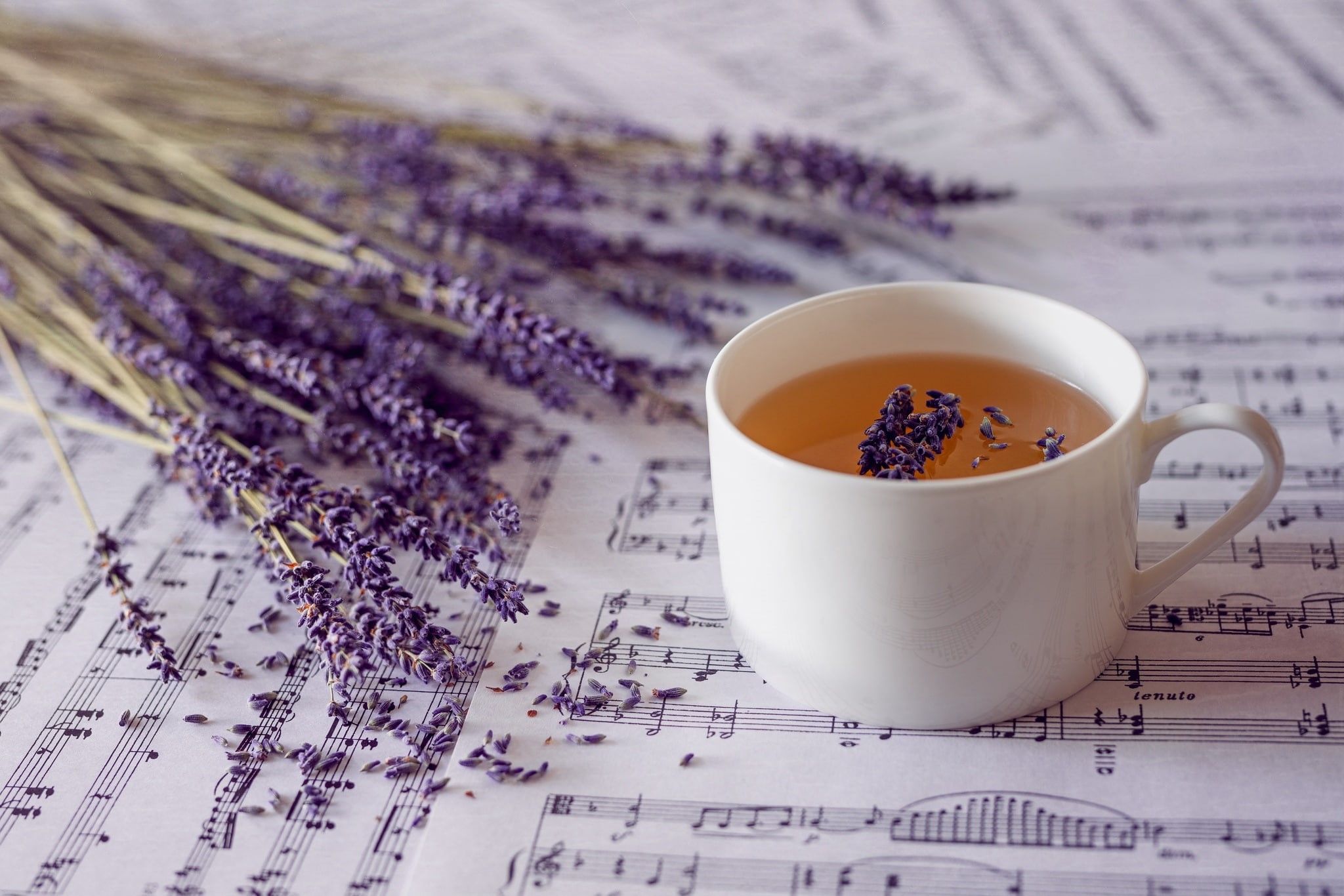 cup, tea, plants, musical notes, 1080P, lavender, HD Wallpaper