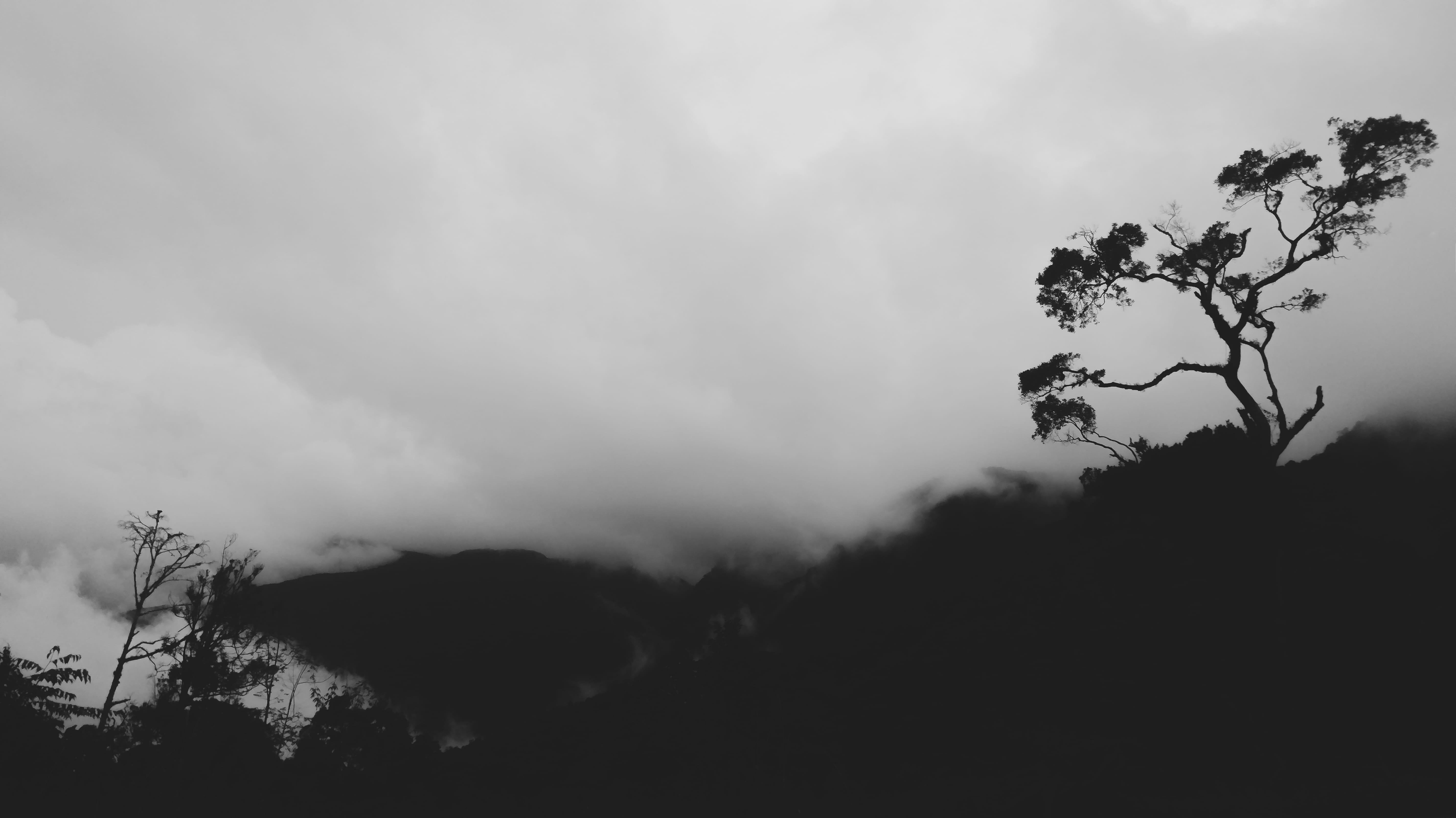 nature, sky, outdoors, malaysia, scenics - nature, cloud - sky, no people, 5K, beauty in nature, tree, environment, mountain, cameron highlands, low angle view, HD Wallpaper