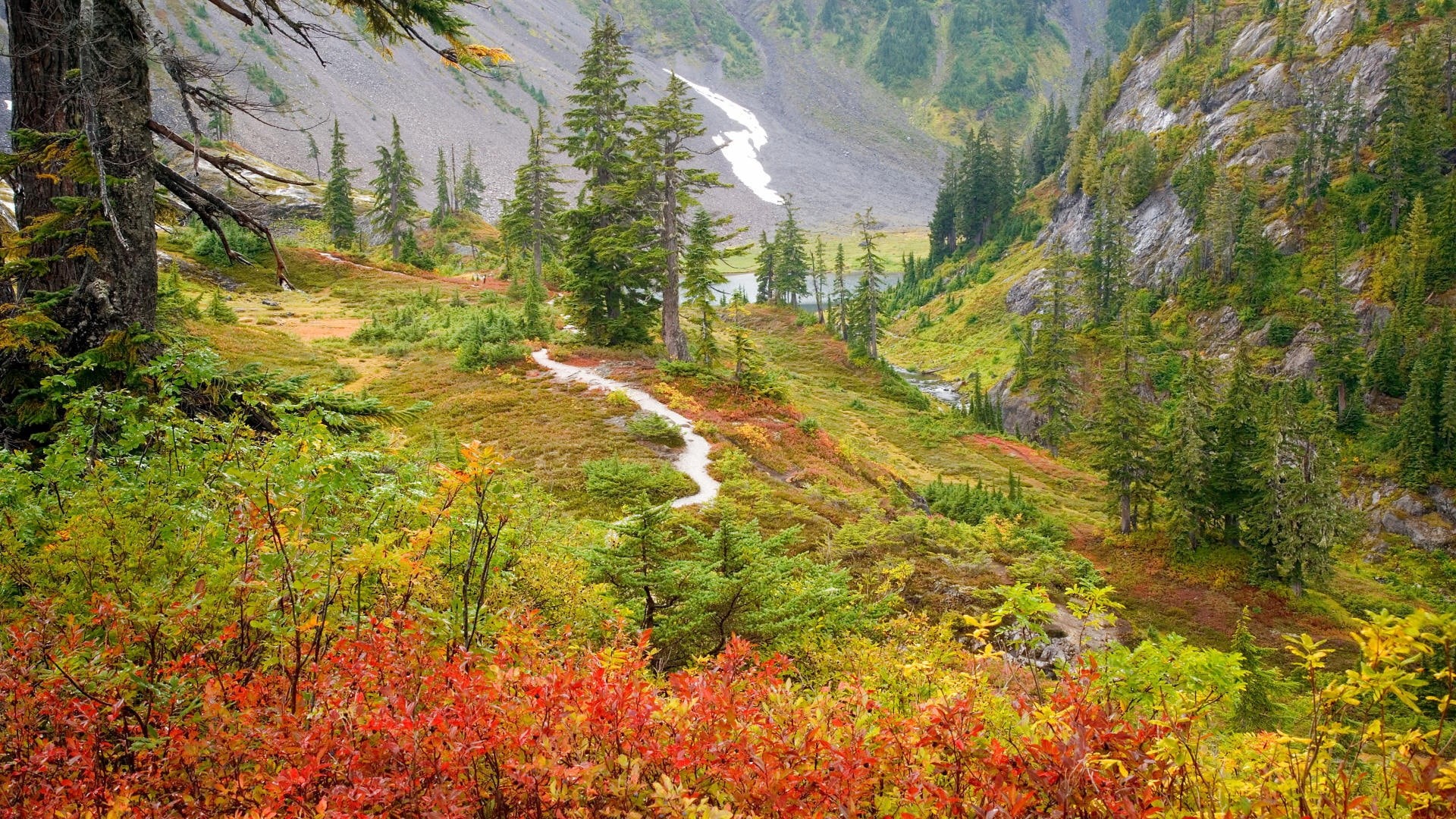 river, trees, the bushes, 1080P, Russia, Russian Far East, gorge, Far East, autumn, mountains, HD Wallpaper