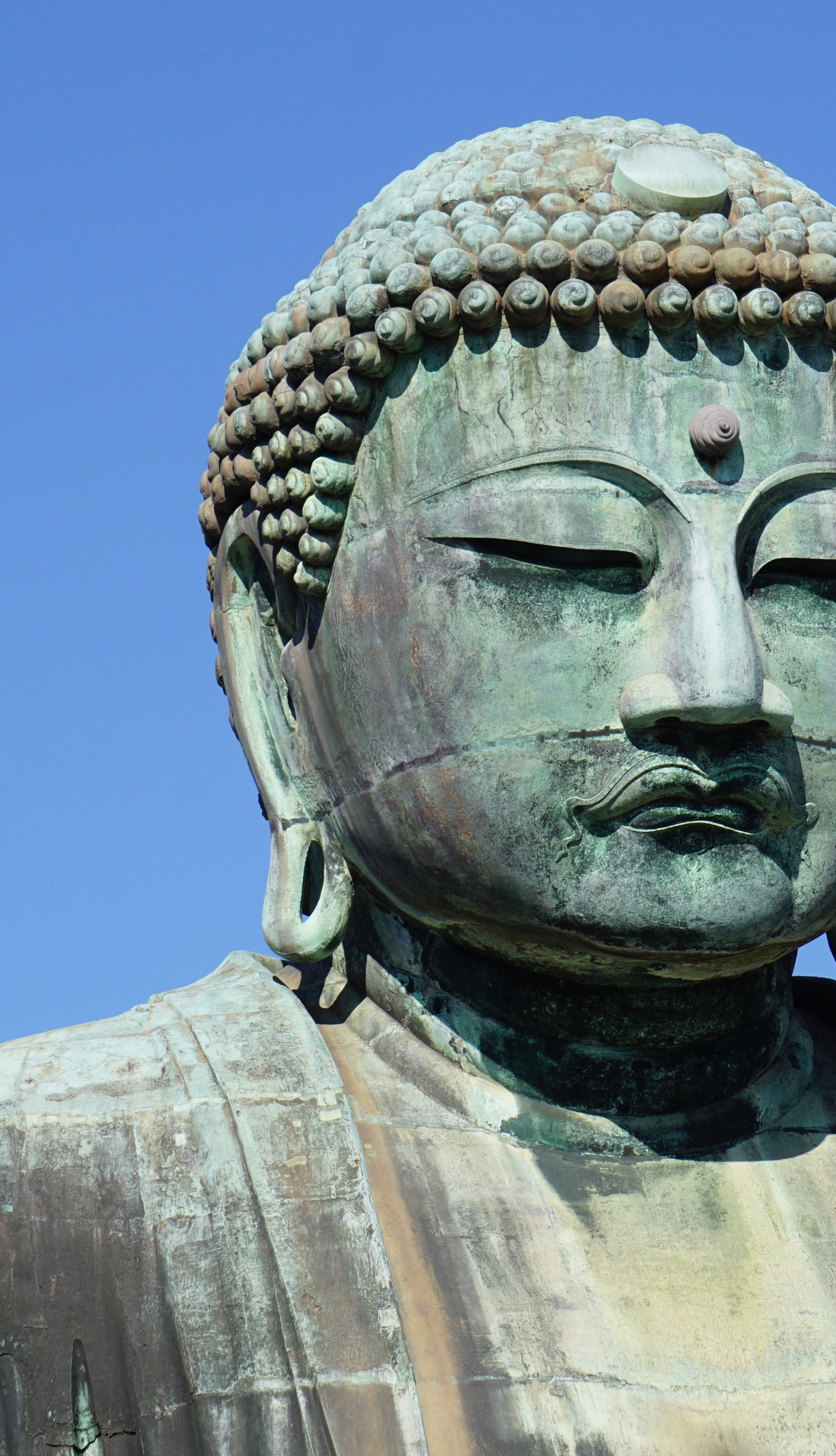 close up, buddha, close-up, meditation, male likeness, asia, architecture, belief, sculpture, low angle view, no people, big buddha, east, creativity, holy, Phone HD Wallpaper