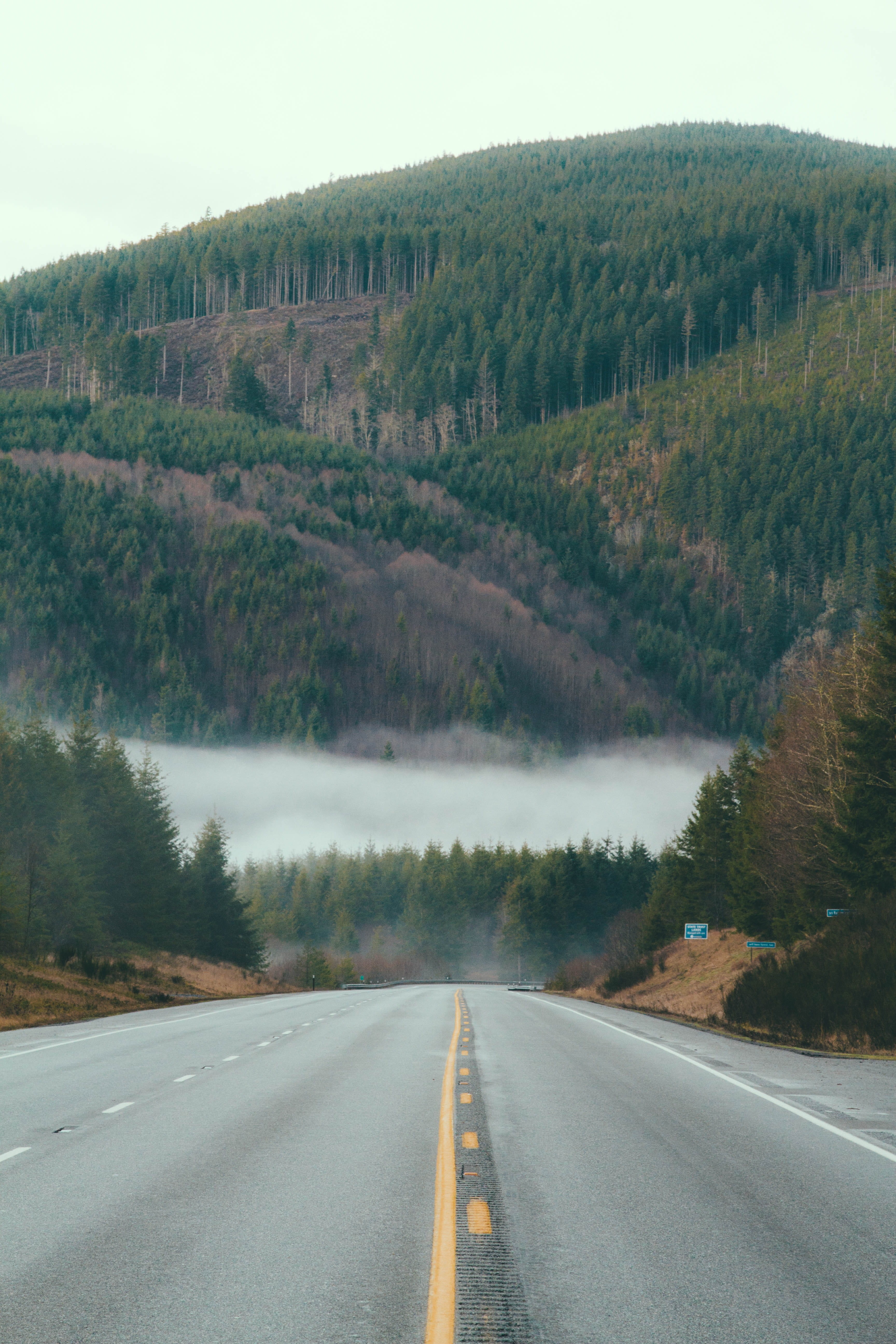 beauty in nature, double yellow line, pacific northwest, sign, the way forward, tranquil scene, never stop exploring, outdoors, symbol, direction, dividing line, Phone HD Wallpaper