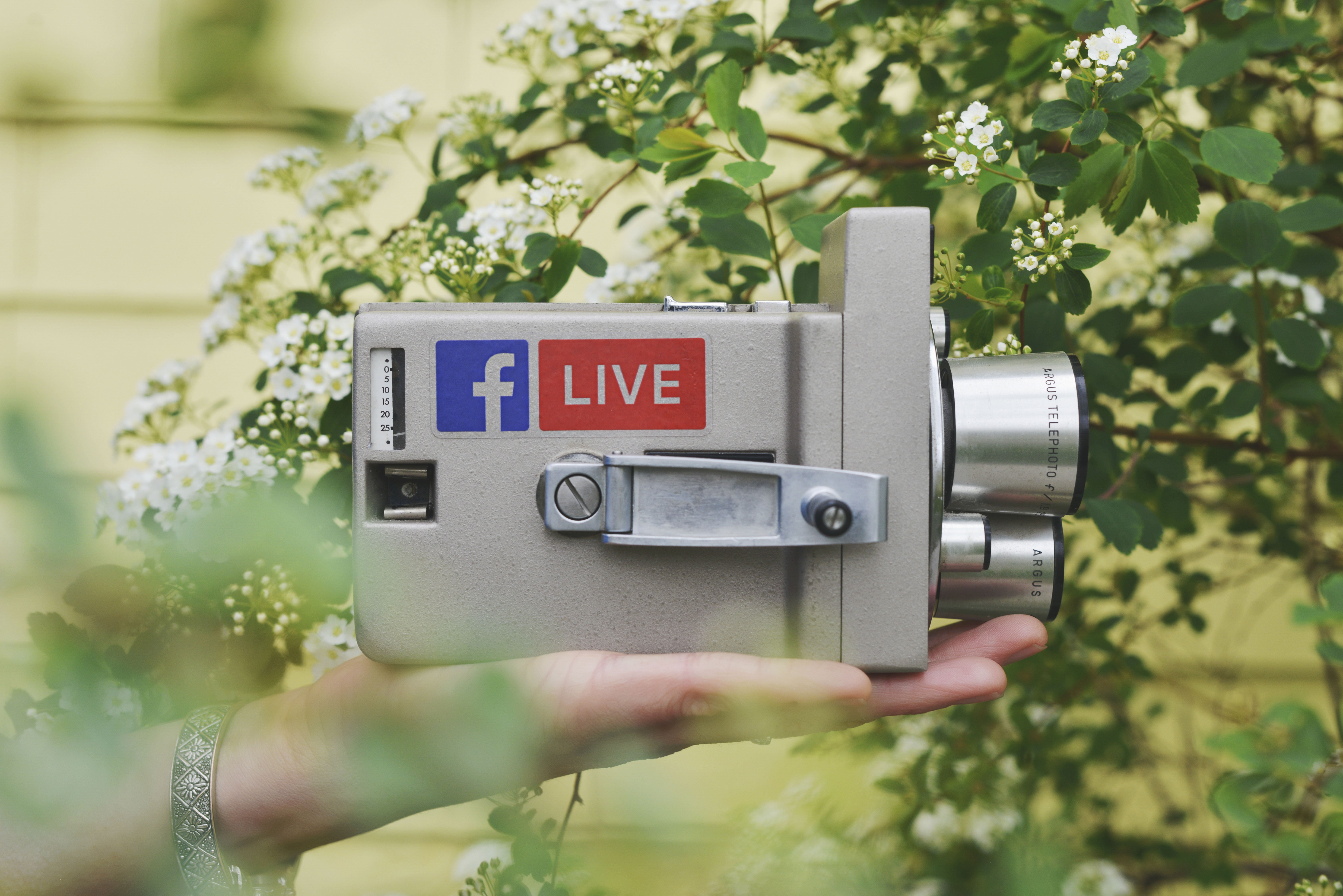 focus on foreground, live, vintage, shutter, video, photography themes, hand, plant, iso, recording, analog, facebook, old, outdoors, aperture, 5K, digital camera, HD Wallpaper