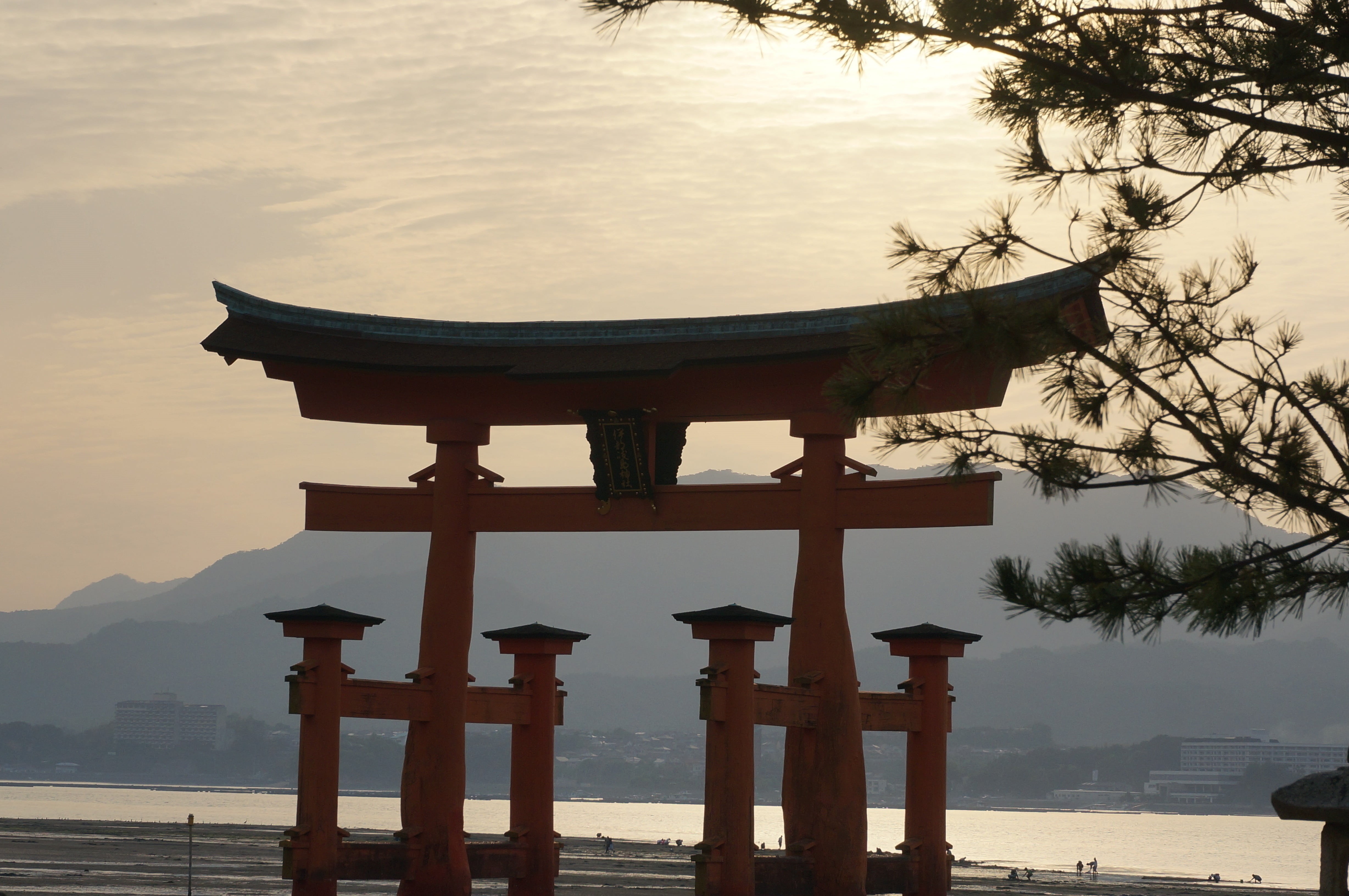 torii, sea, hiroshima, shrine, spirituality, water, scenics - nature, tranquility, architecture, nature, belief, no people, 4K, built structure, place of worship, HD Wallpaper