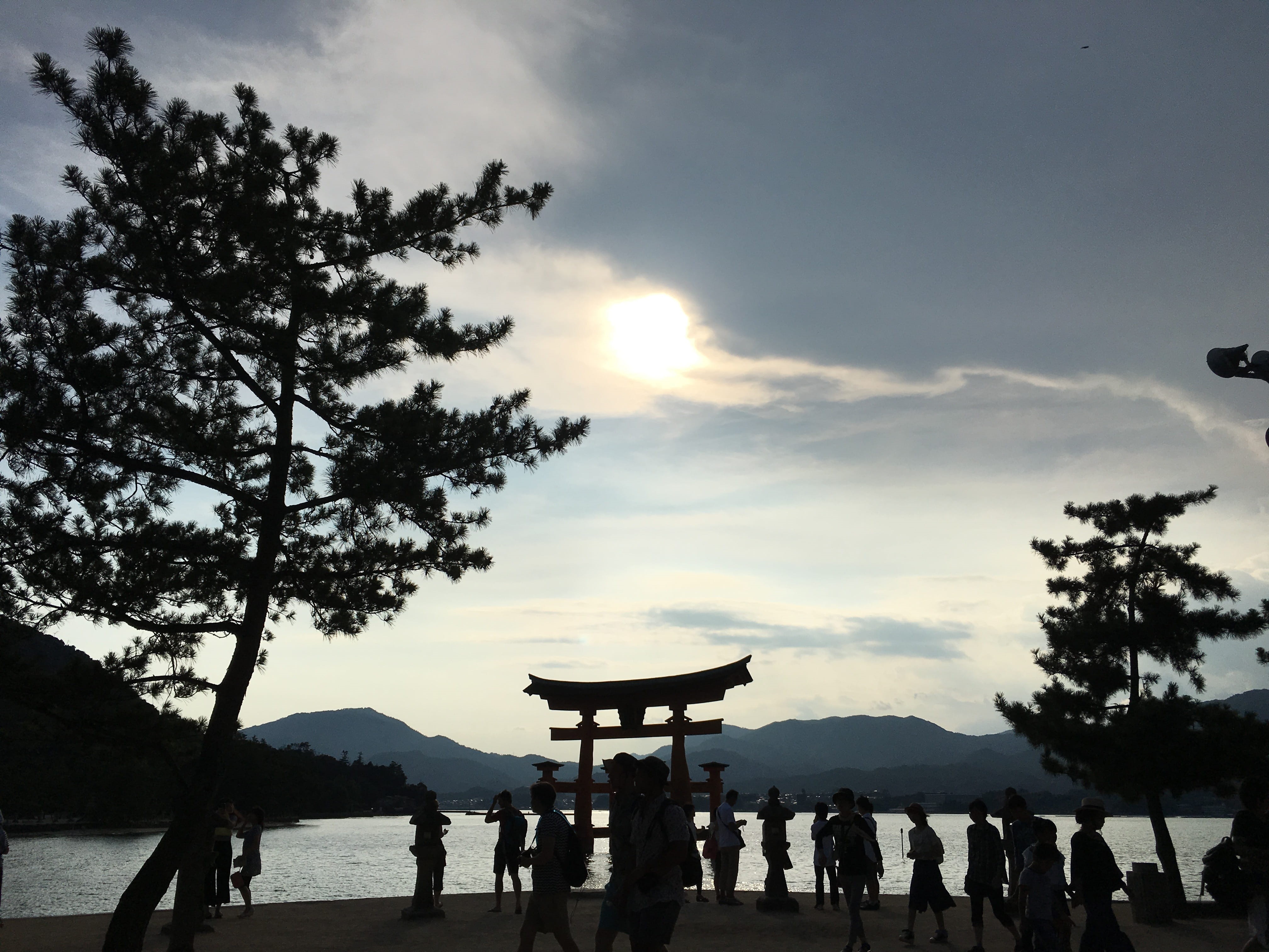 plant, large group of people, shrine, scenics - nature, travel destinations, Miyajima, leisure activity, people, mountain, sunset, group of people, shinto, HD Wallpaper