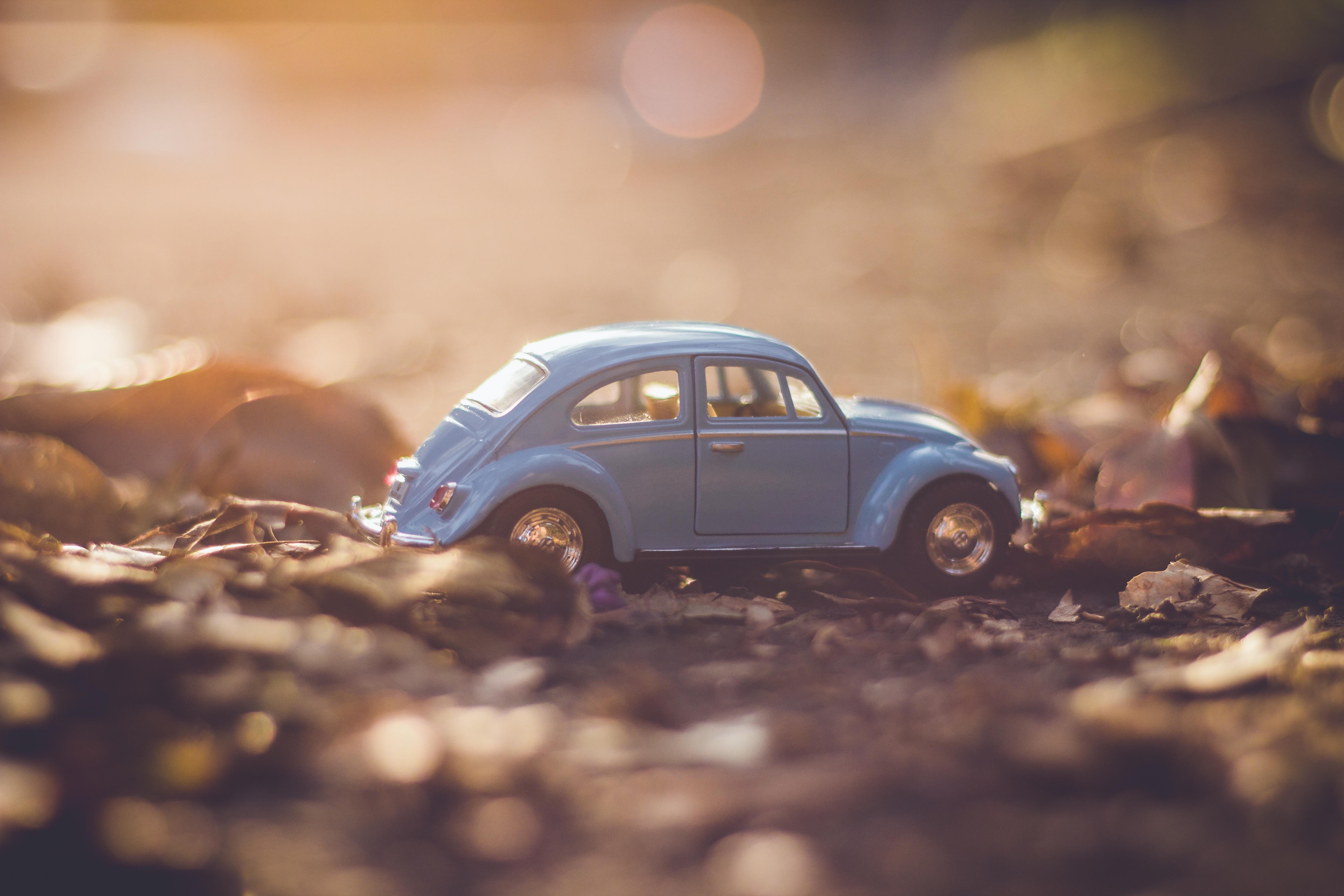 surface level, cast, day, blue, toy car, field, motor vehicle, mode of transportation, 5K, nature, volkswagen, tree, car, land vehicle, selective focus, HD Wallpaper