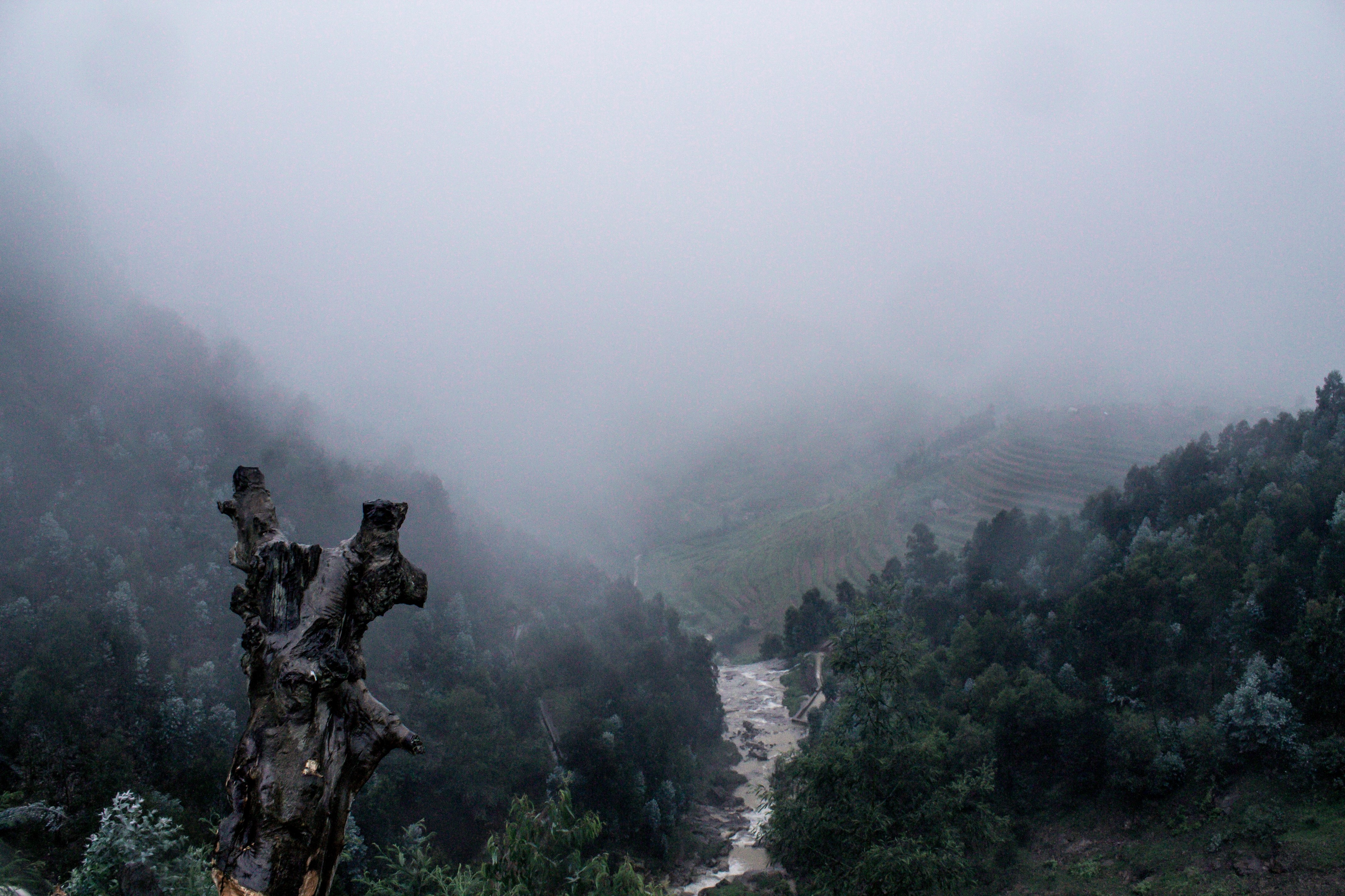 scenics - nature, no people, non-urban scene, day, ndaba, land, sky, mountain peak, tourism, environment, fog, 4K, nature, outdoors, foggy, heavy grey, HD Wallpaper