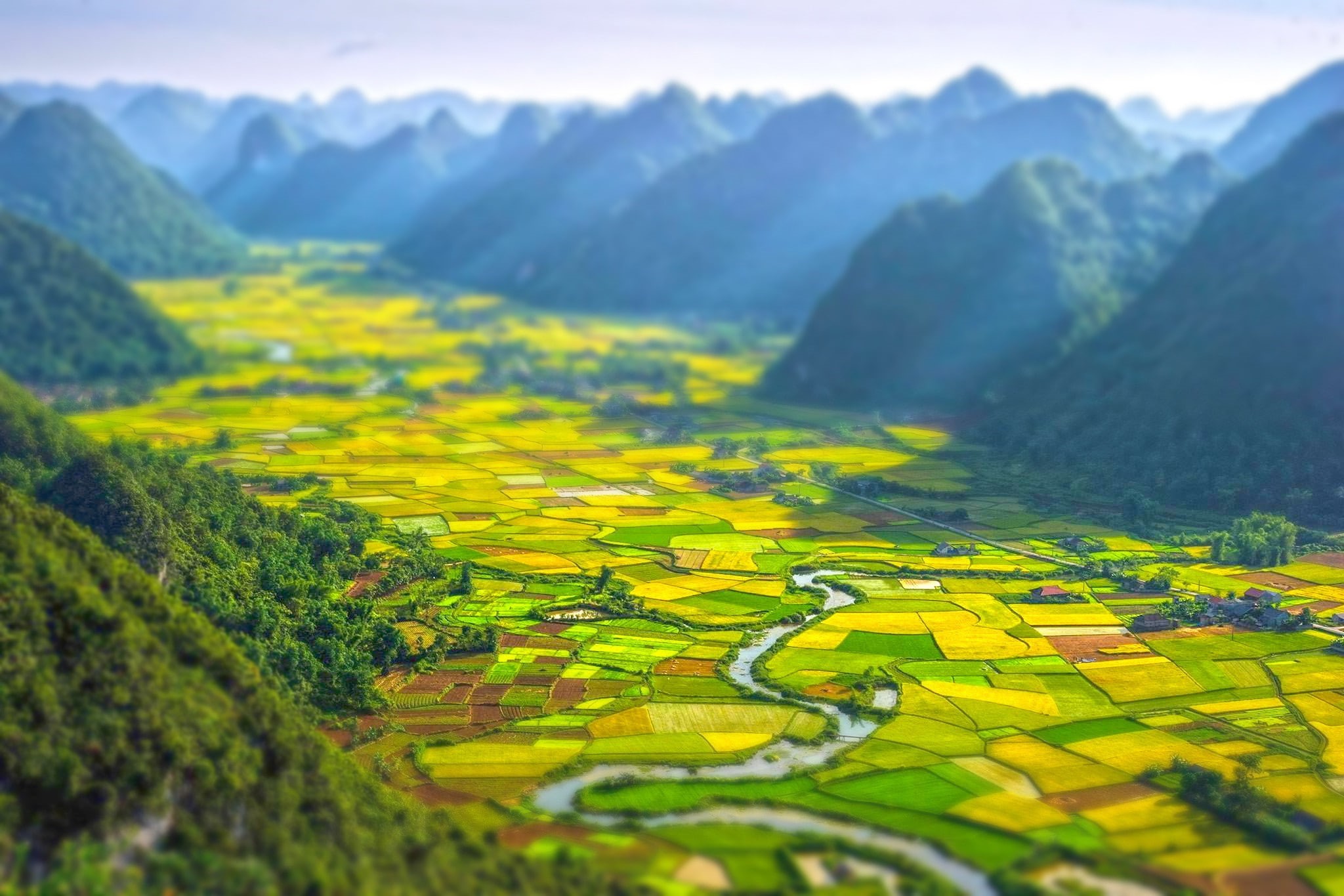 agriculture, green color, yellow, 1080P, no people, mountain, landscape nature africa tilt shift field river hill rwanda, plant, environment, idyllic, HD Wallpaper