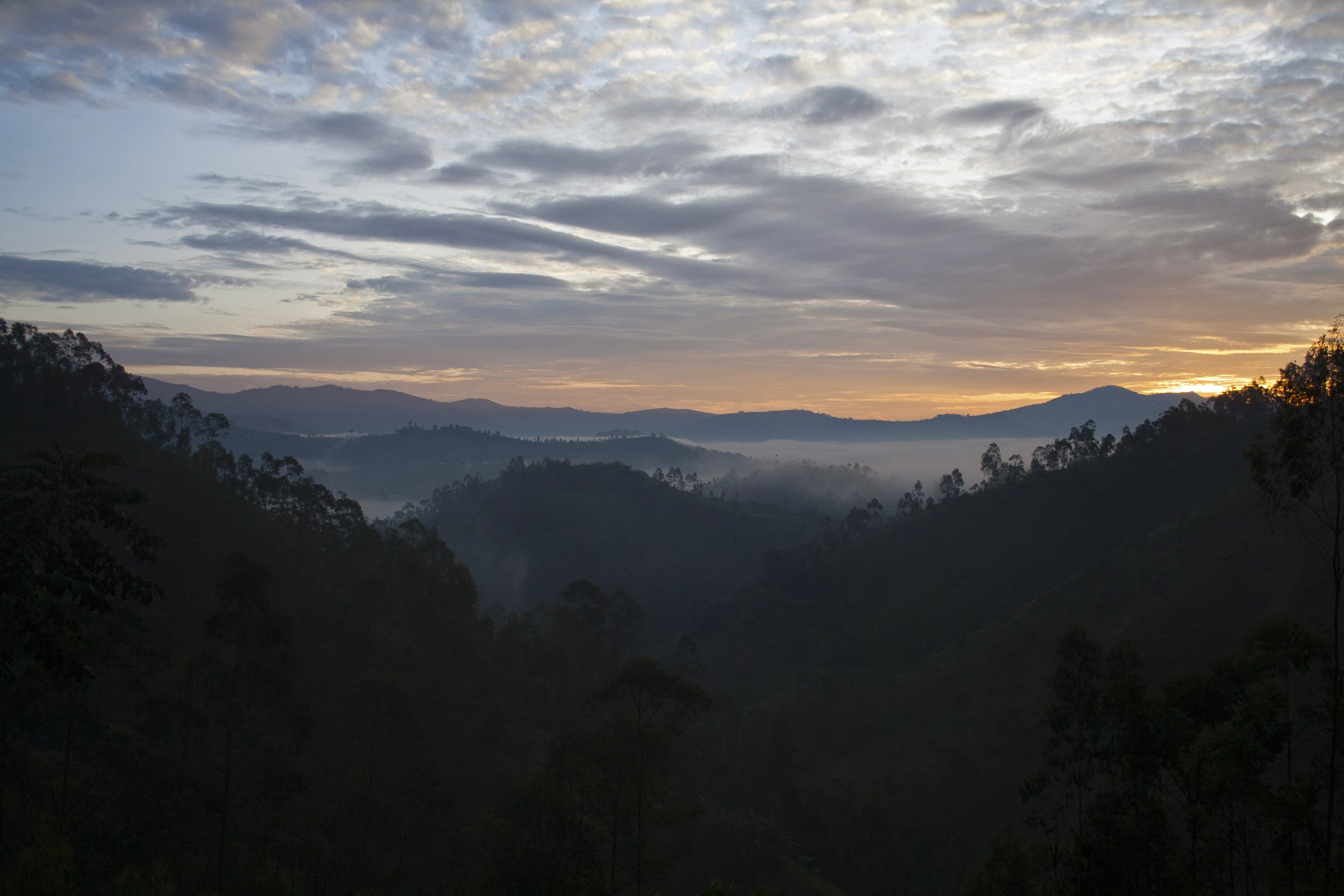 nature, environment, cloud - sky, mountain range, outdoor, scenics - nature, mist, adventure, africa, idyllic, trees, sunrise, outside, fog, mountain, sunset, HD Wallpaper