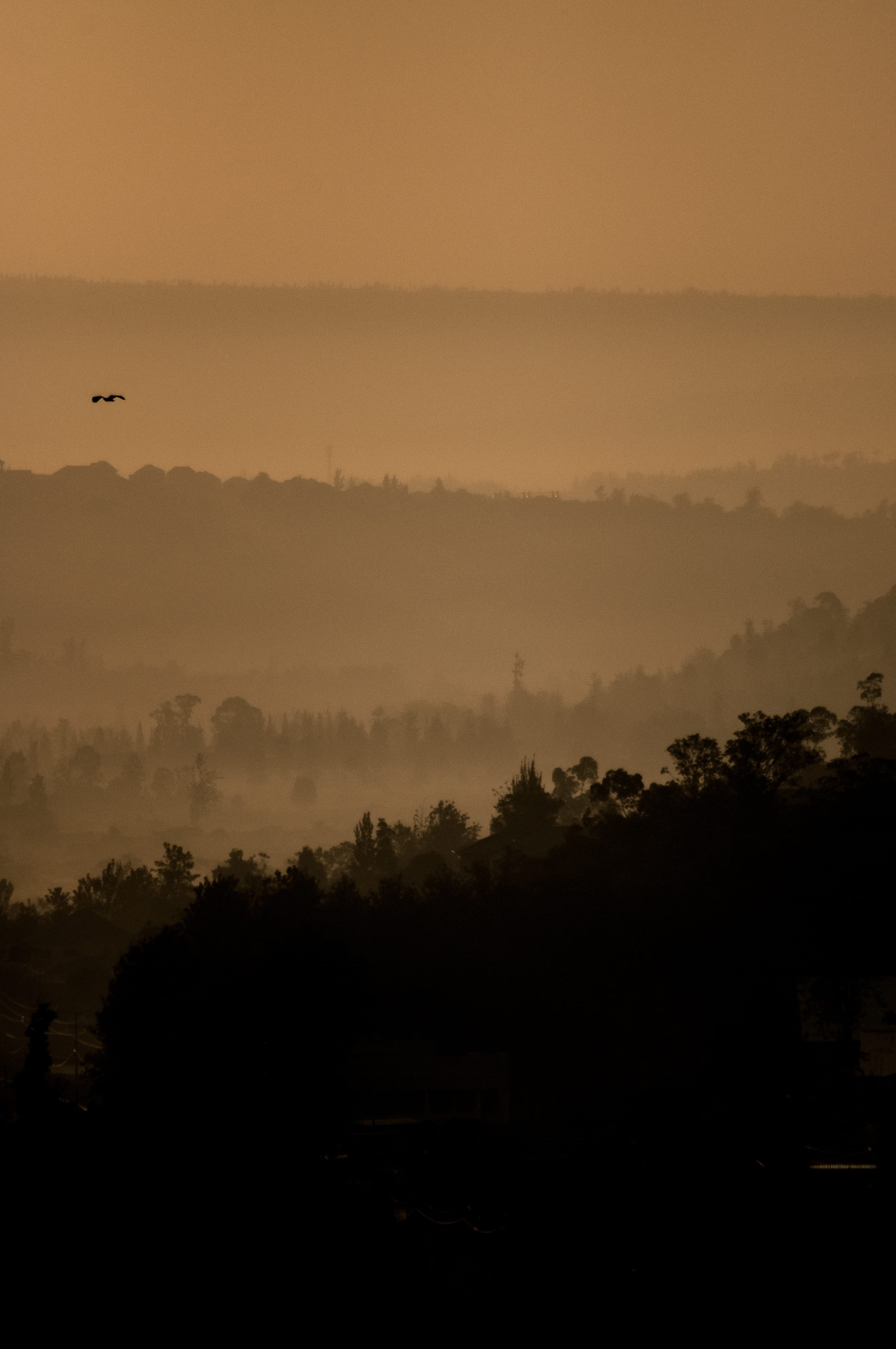 sky, landscape, copy space, tree, tranquility, rwanda, nature, kigali, land, 4K, beauty in nature, idyllic, outdoors, fog, no people, non-urban scene, Phone HD Wallpaper
