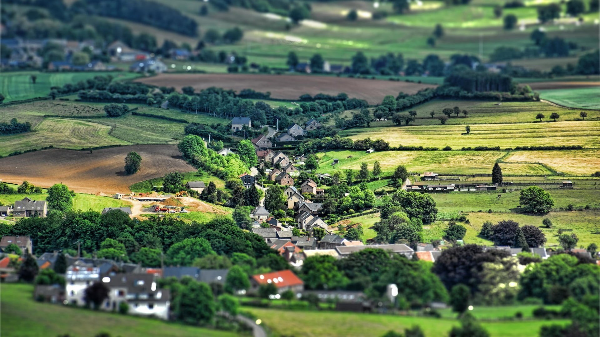 growth, agriculture, day, shift, scenics - nature, panoramic, trees, italian Culture, cityscape, photography, tilt shift, field, scenics, rural Scene, no People, HD Wallpaper
