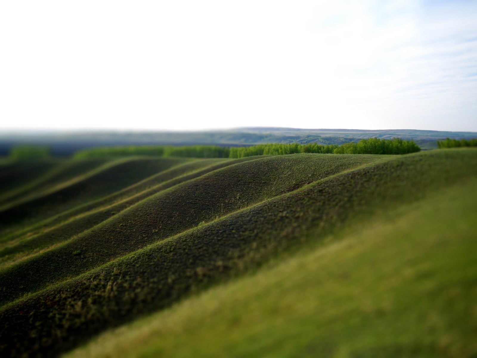 land, blue, non-Urban Scene, daytime, italy, tilt shift, europe, environment, landscaped, horizon, grass, tranquil Scene, field, crop, scenics, day, outdoors, HD Wallpaper
