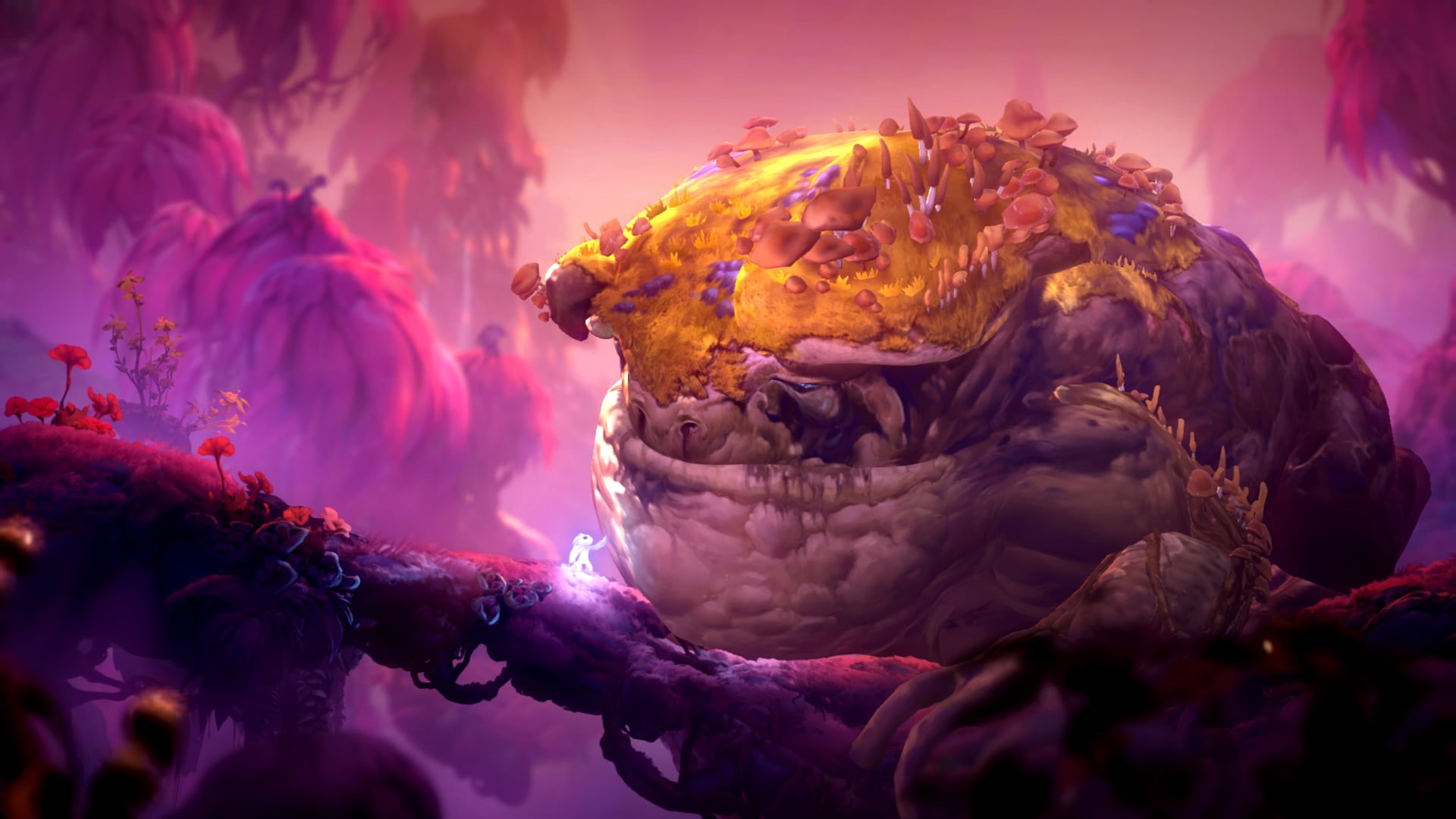 1080P, Ori and the Will of the Wisps, screen shot, HD Wallpaper