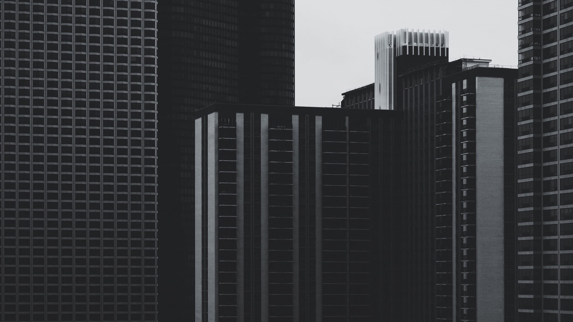 urban, 1080P, monochrome, photography, architecture, skyscraper, building, window, minimalism, HD Wallpaper