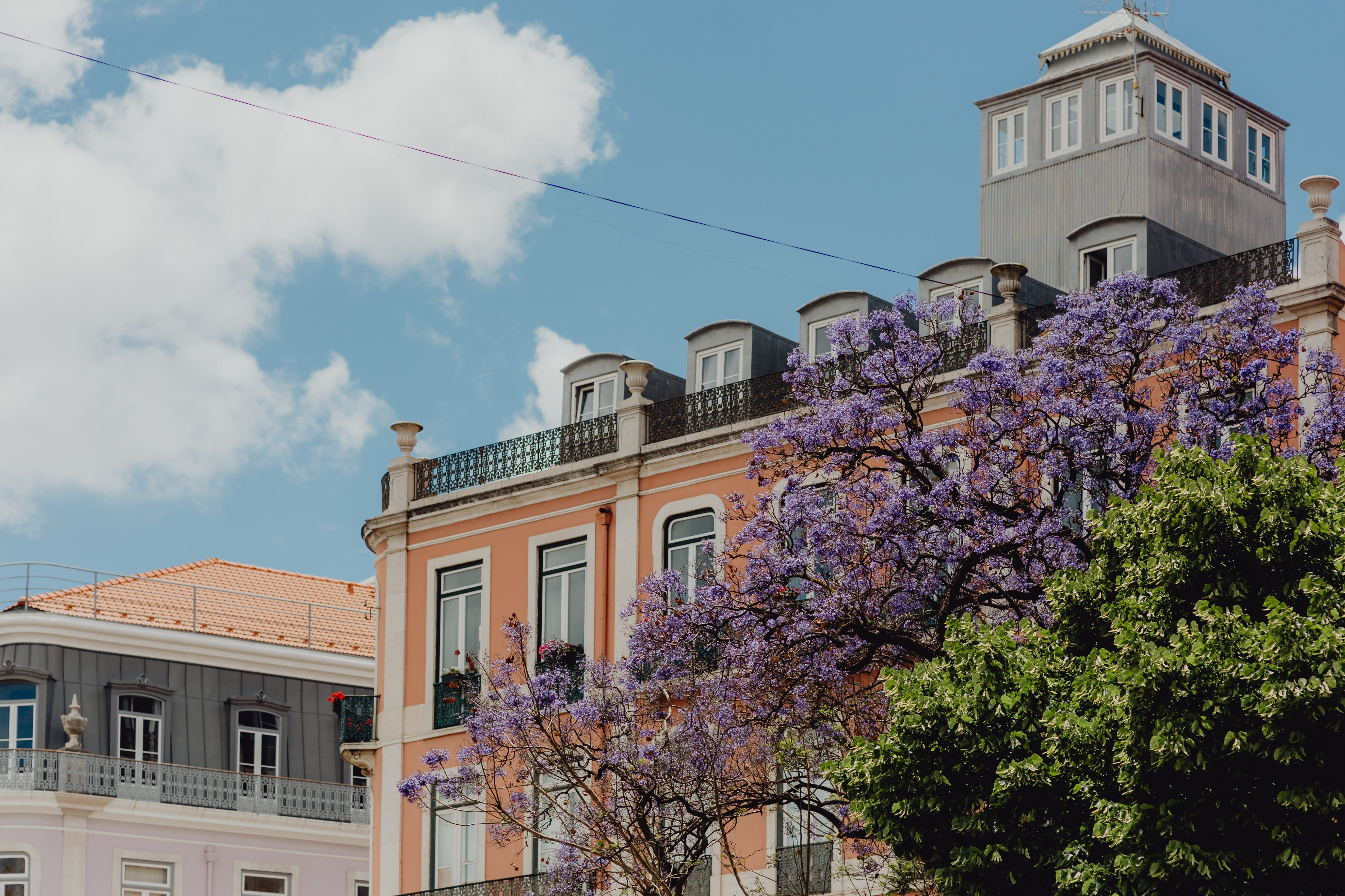 flowering plant, city, june, Europe, flower, residential district, springtime, cloud - sky, buildings, low angle view, built structure, colorful, day, sky, HD Wallpaper