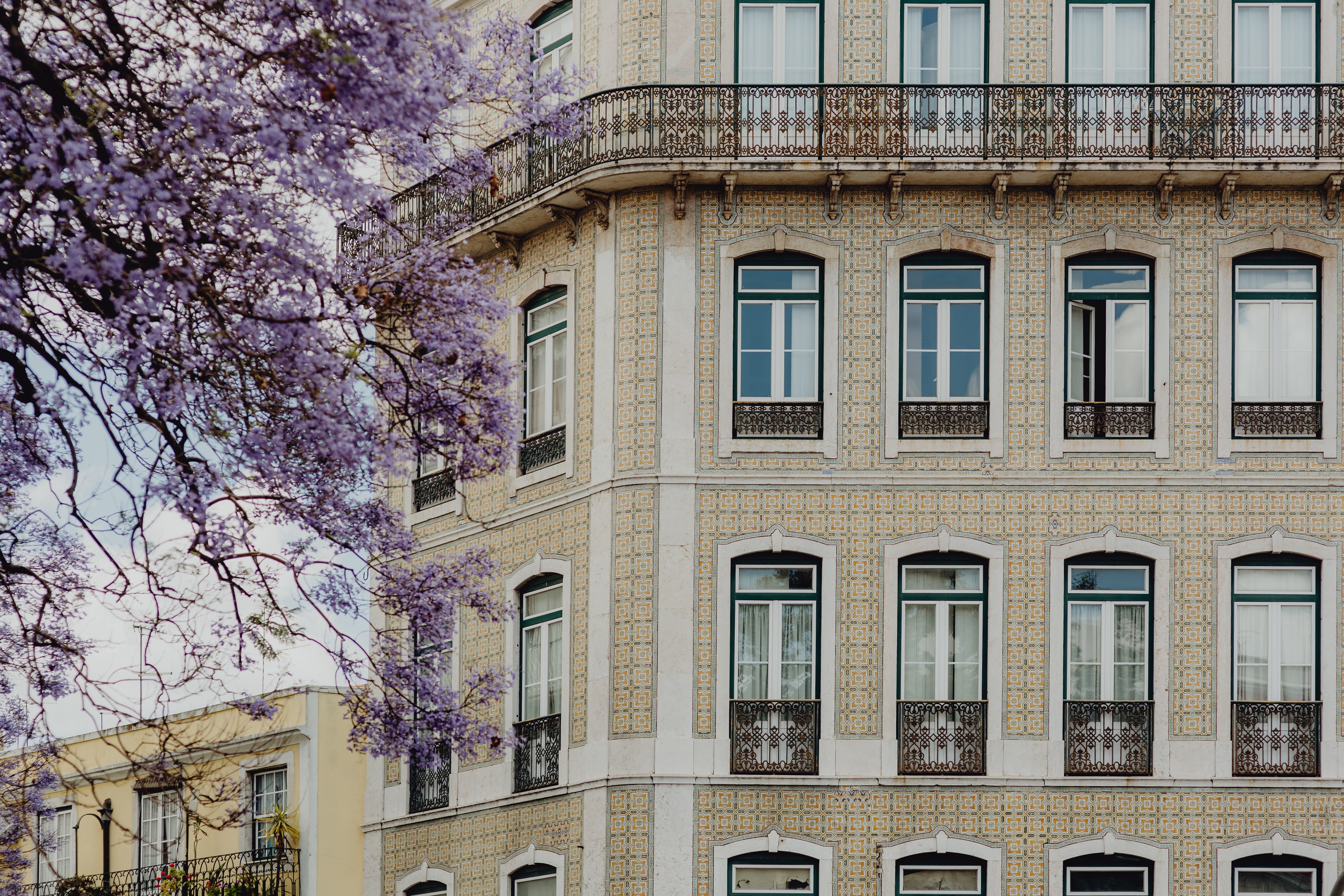 branch, cityscape, city, low angle view, tree, outdoors, freshness, colorful, town, lisbon, buildings, cherry blossom, building, built structure, Europe, HD Wallpaper