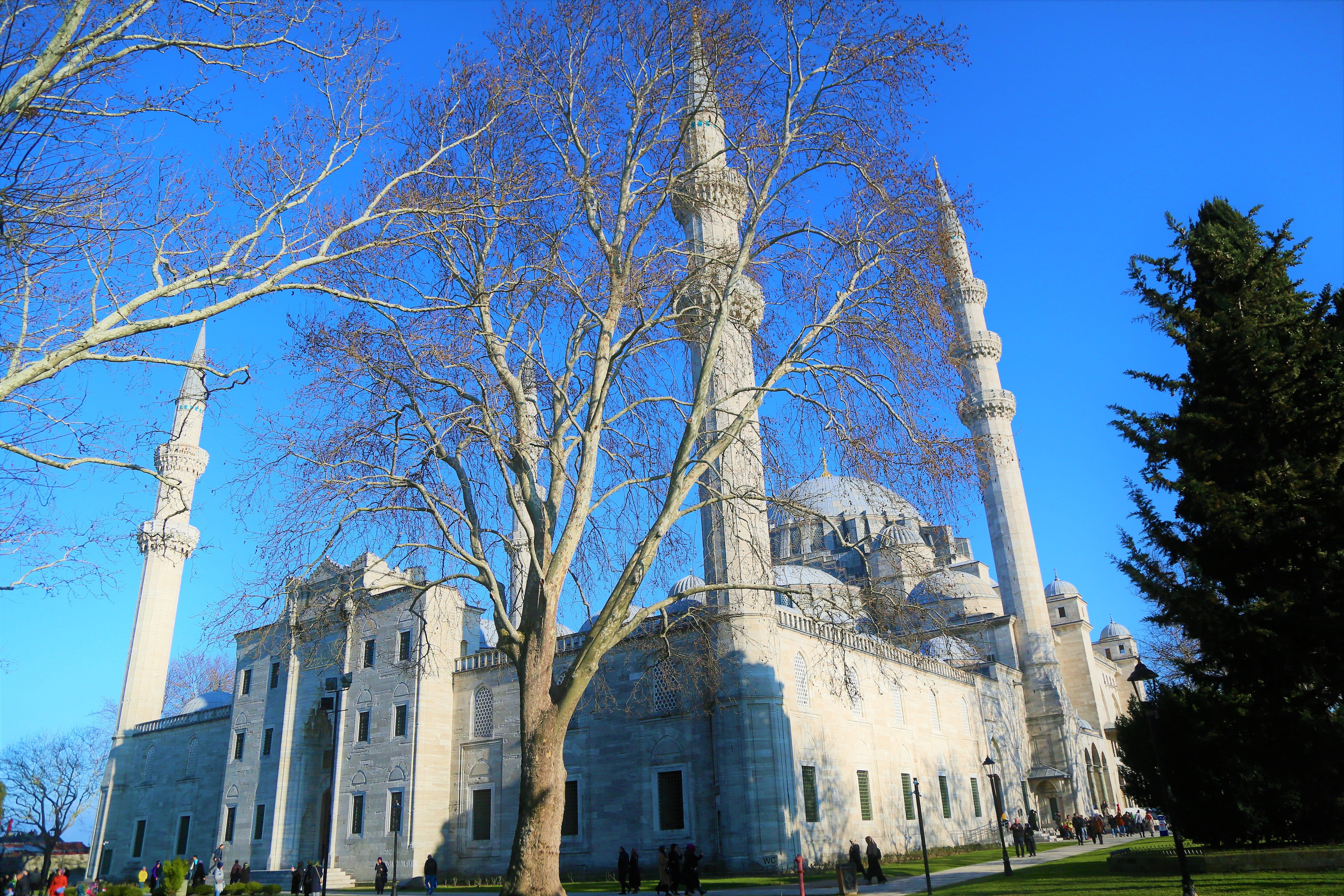 cami, outdoors, day, built structure, spirituality, place of worship, travel destinations, old, building exterior, turkey, the minarets, 5K, the past, HD Wallpaper