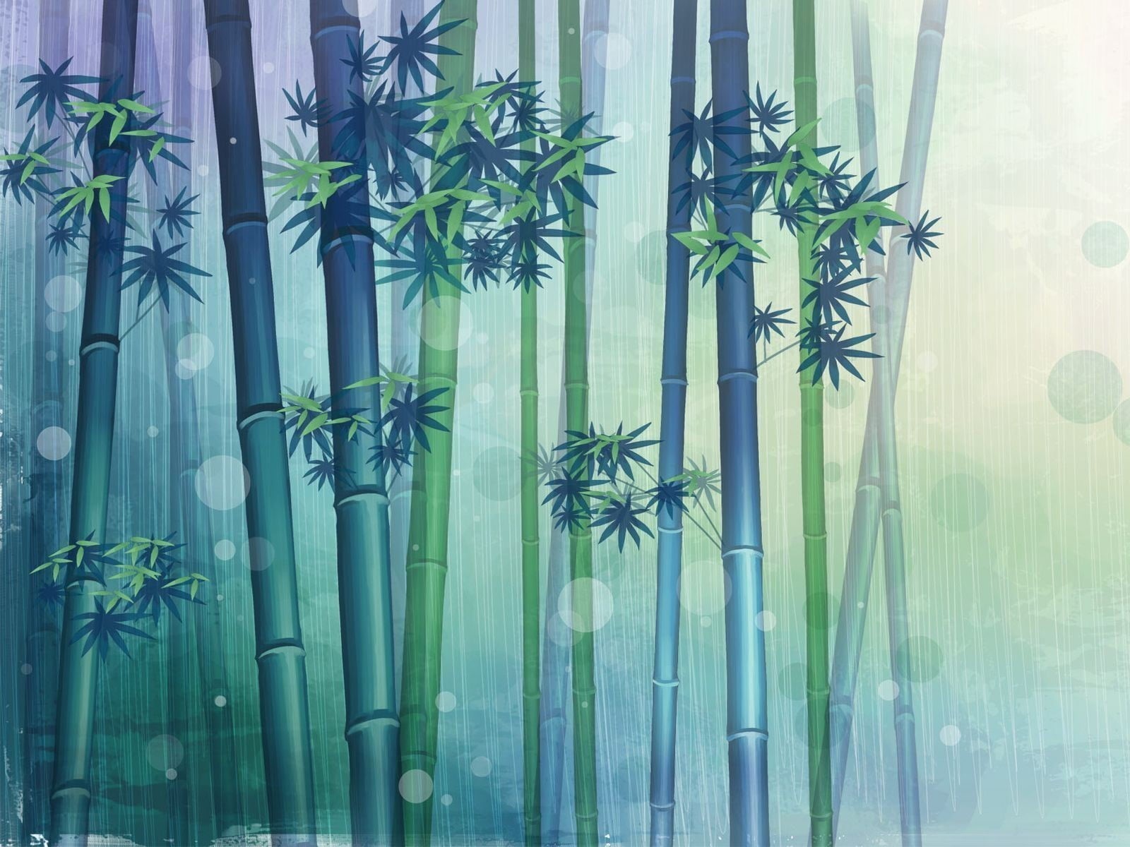 window, leaf, curtain, decoration, outdoors, plant stem, beauty in nature, botany, plant, transparent, bamboo - plant, growth, potted plant, HD Wallpaper