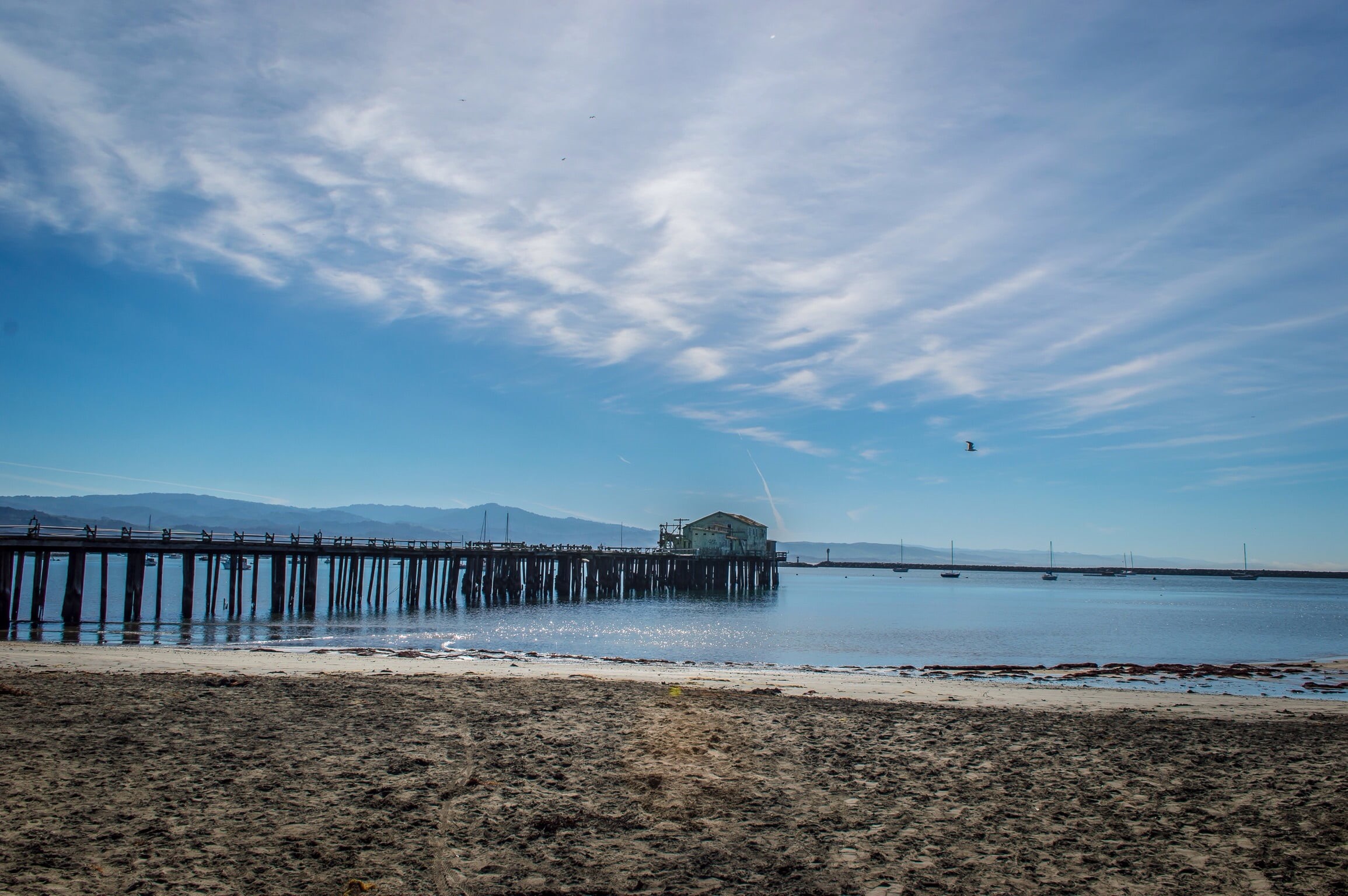 wooden, time, sea, nature, dock, view, beach, brown, day, 1080P, HD Wallpaper
