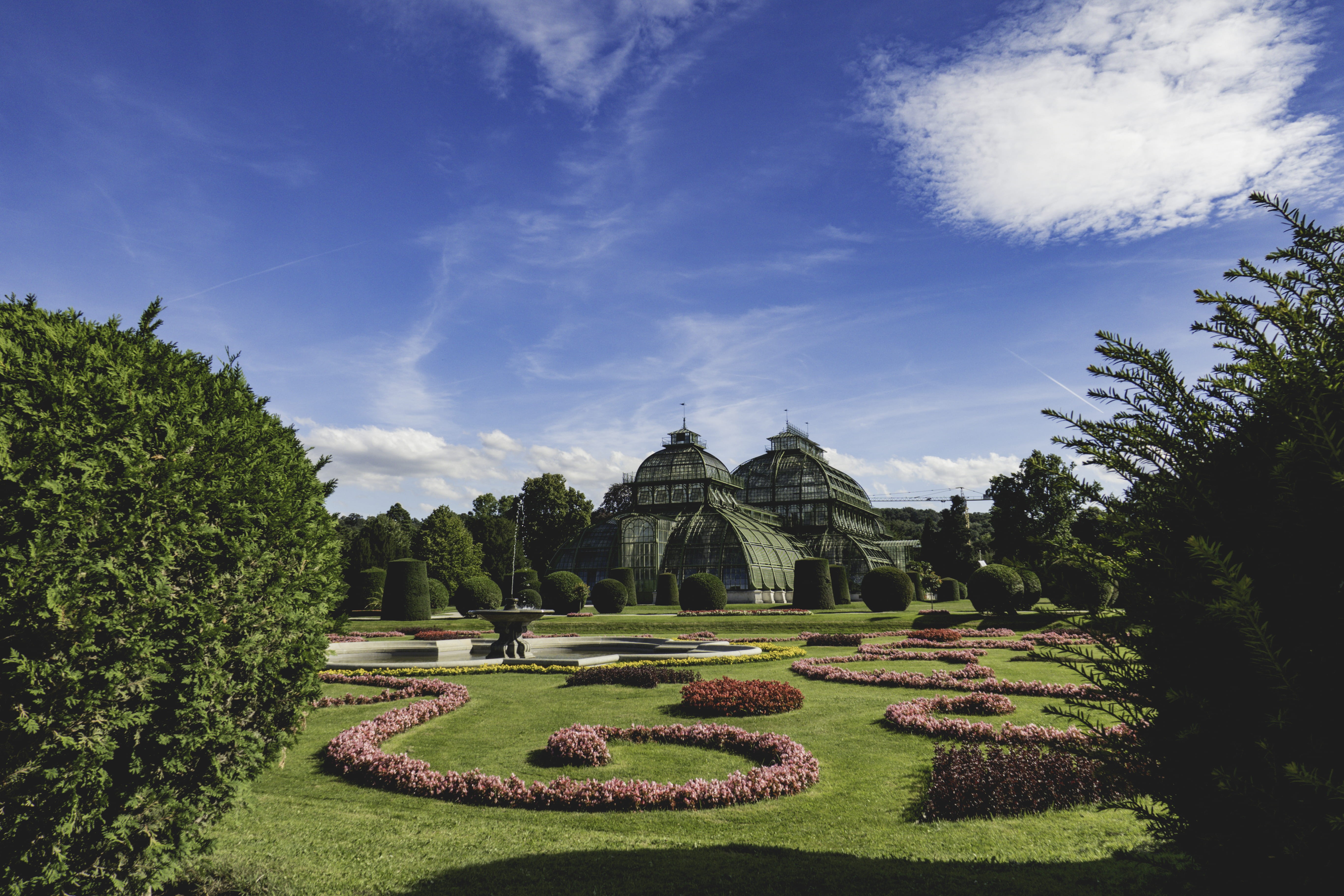 garden, castle, schonbrunn, cloud - sky, nature, no people, bush, palm house, plant, growth, wien, formal garden, topiary, sky, building exterior, outdoors, HD Wallpaper