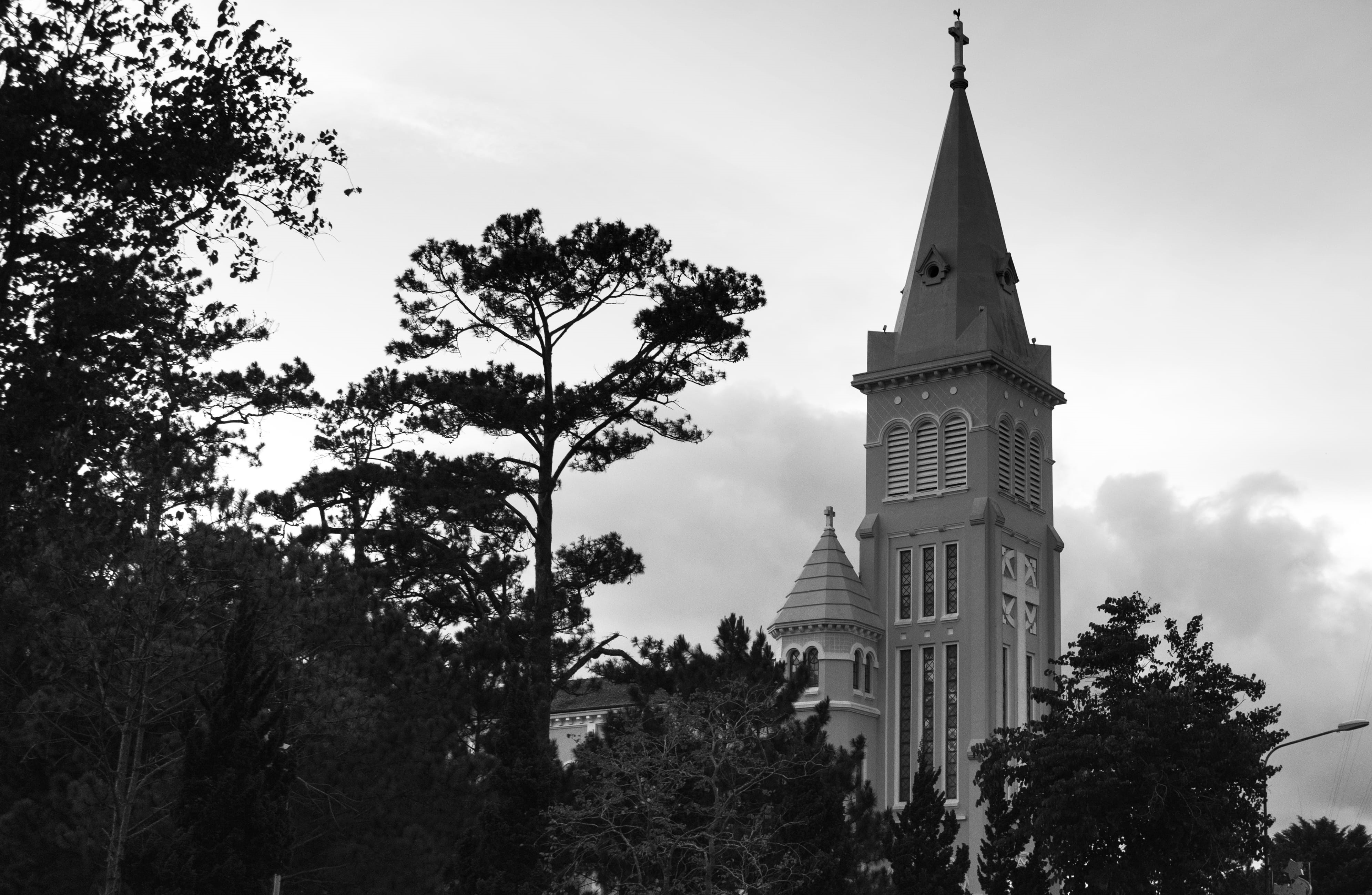 tree, religion, tall - high, place of worship, tower, no people, dalat, architecture, 4K, belief, sky, plant, travel destinations, built structure, low angle view, HD Wallpaper