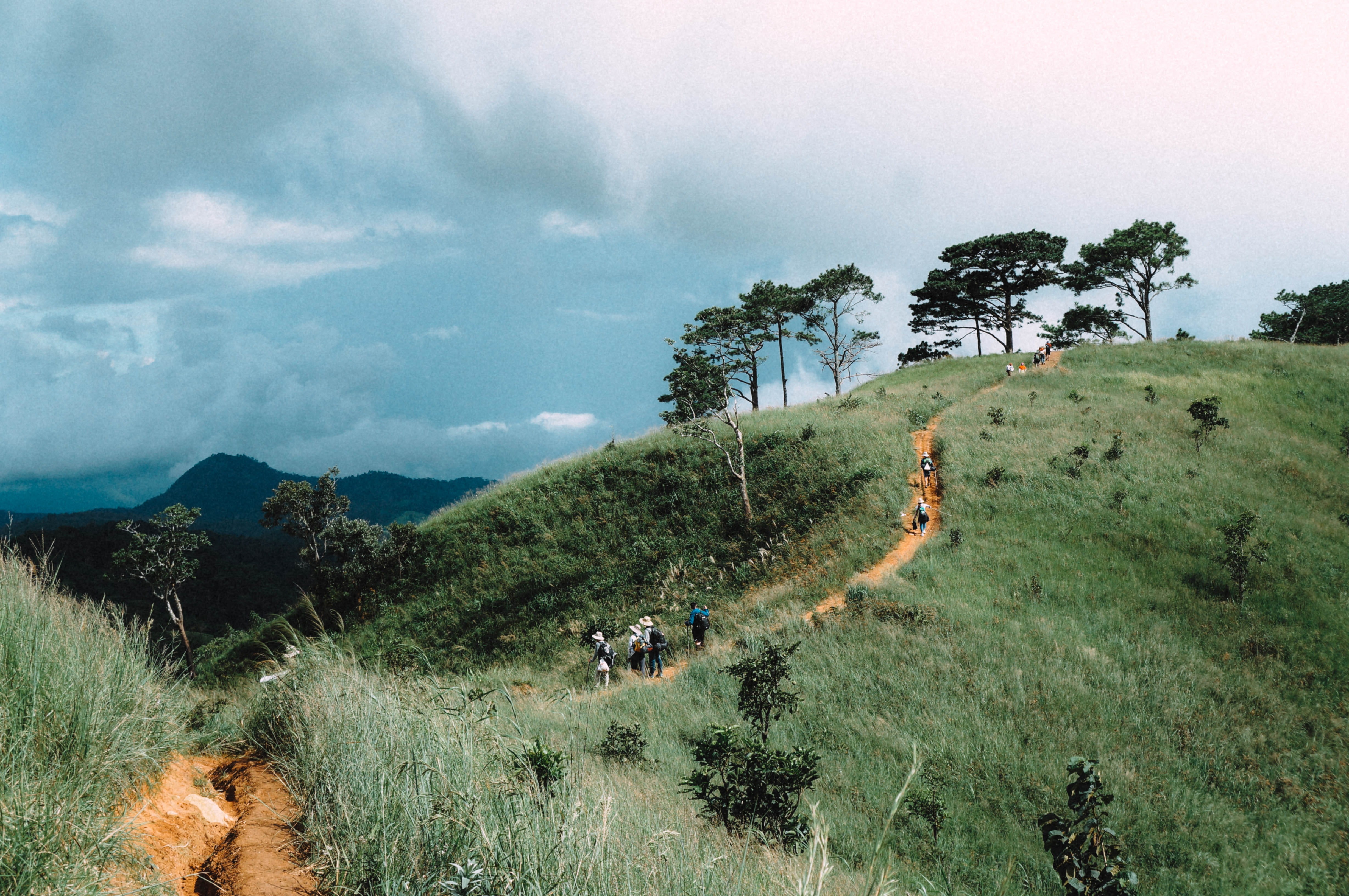 pine, non-urban scene, tranquility, sky, group of people, field, nature, mountain, grass, vietnam, travel, growth, plant, outdoors, environment, tranquil scene, HD Wallpaper