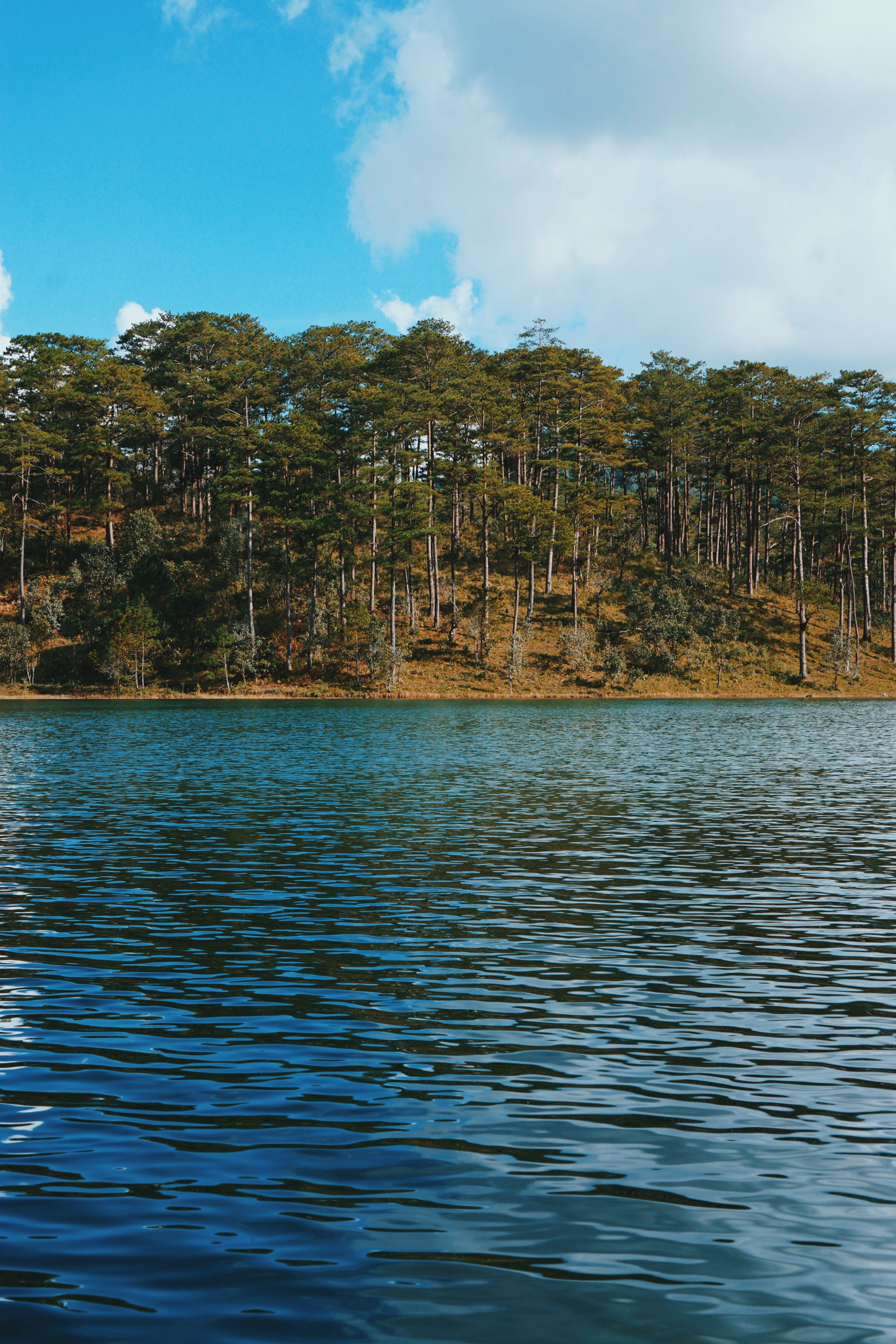 no people, view into land, cloud - sky, outdoors, day, 5K, tranquil scene, mountain, lake, waterfront, scenics - nature, tranquility, forest, tree, water, Phone HD Wallpaper