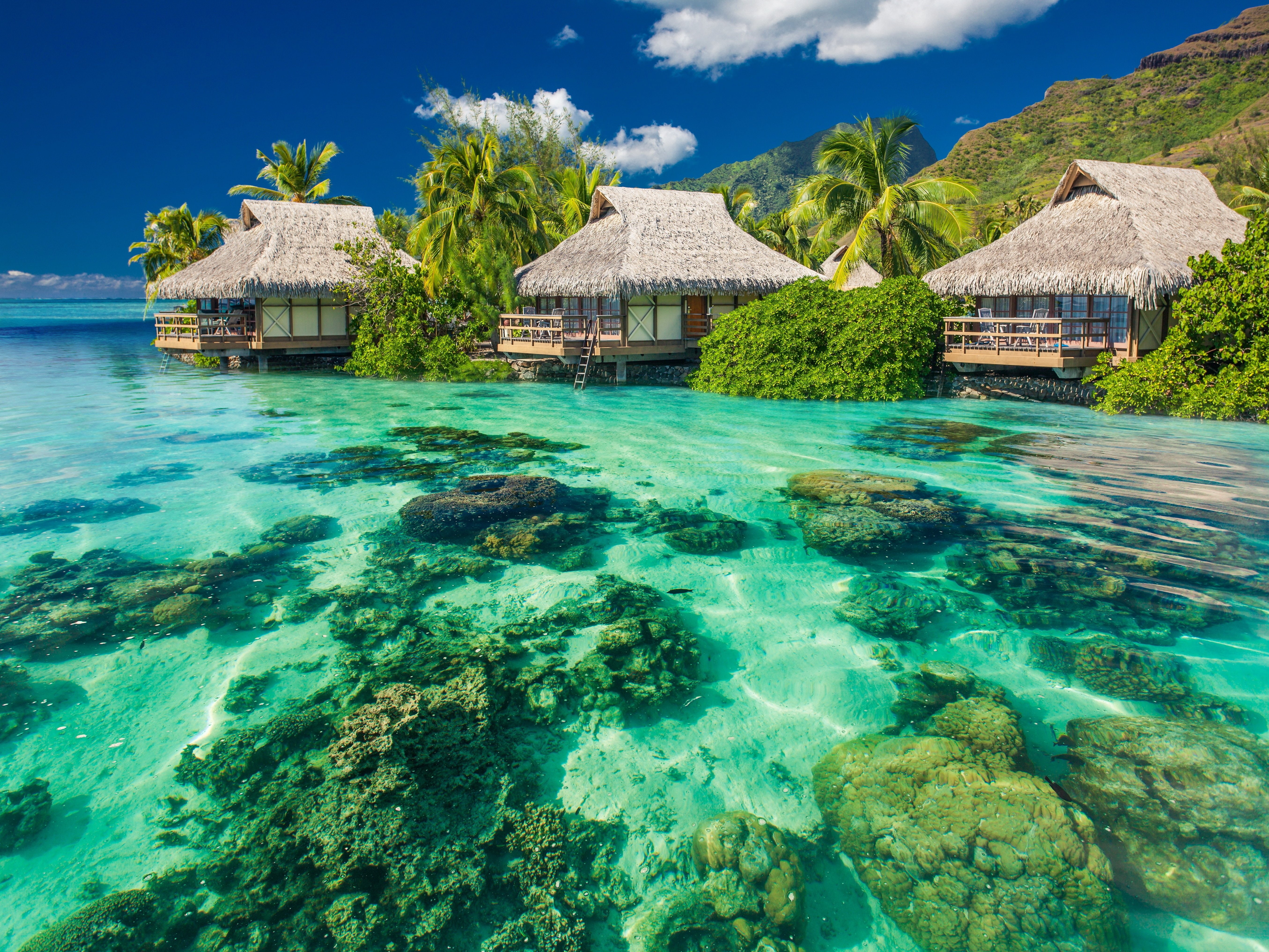 sea, summer, palms, 5K, tropical, paradise, ocean, sunshine, beach, HD Wallpaper