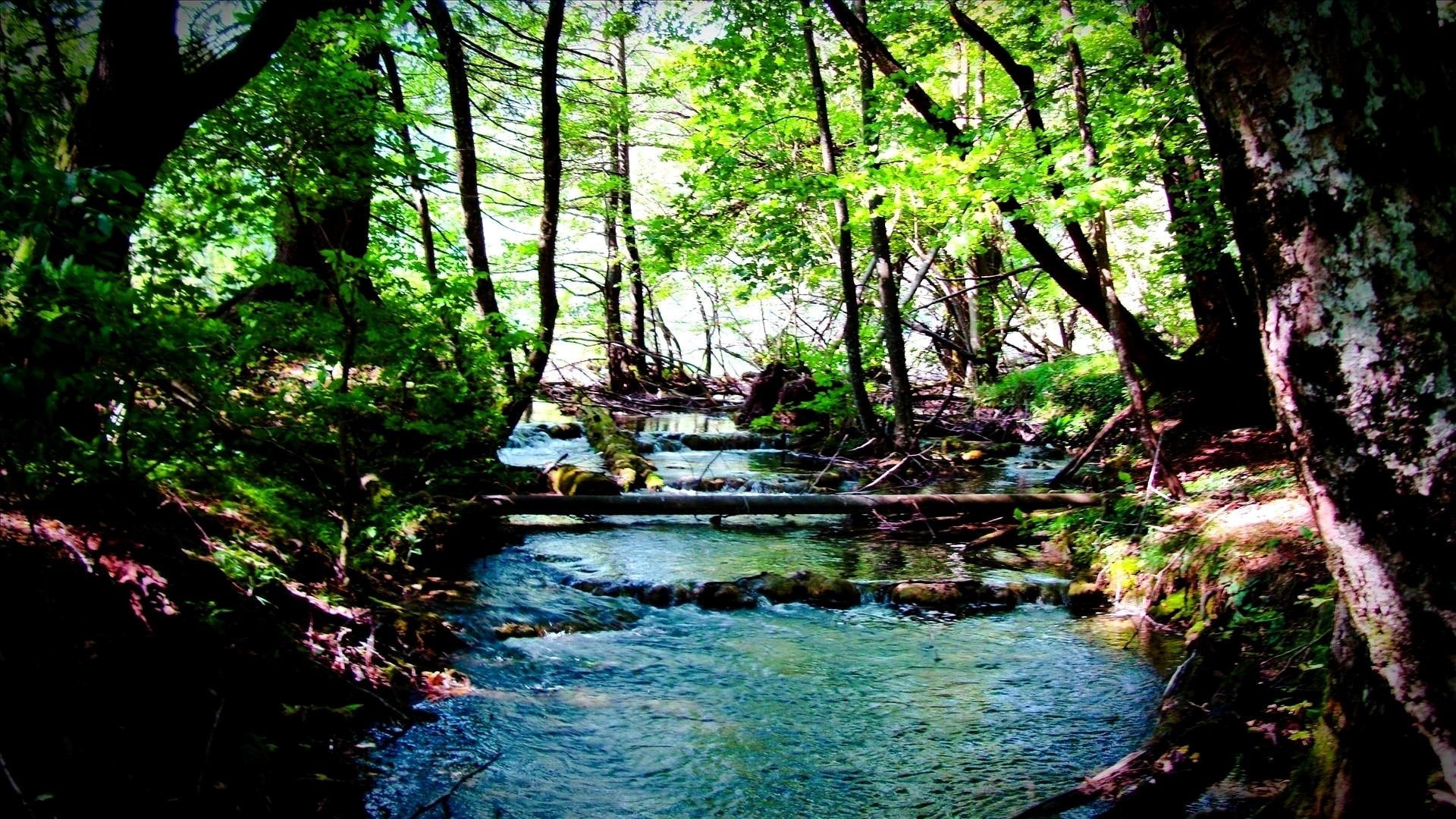 plitvice, nature and landscapes, croatia, national park, wild, lakes, river, 1080P, HD Wallpaper