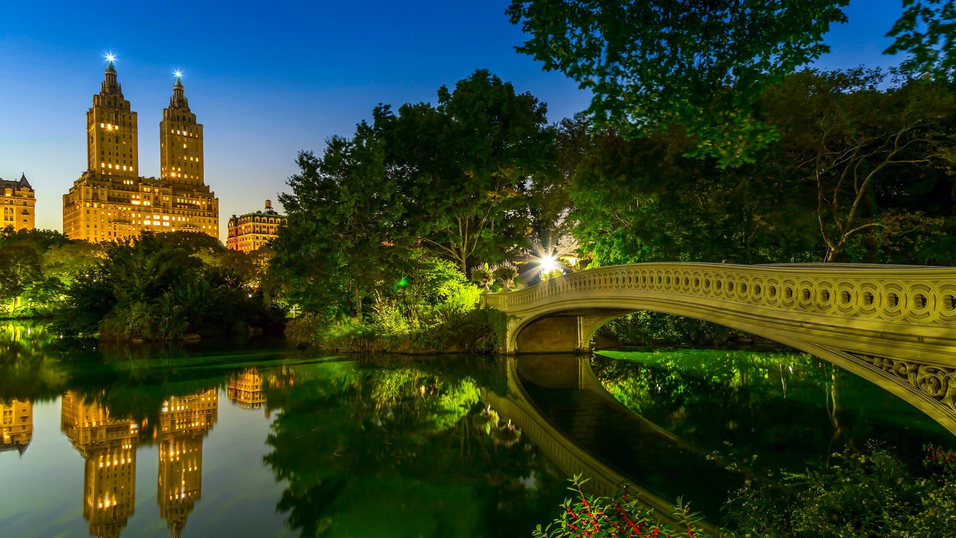 architecture, new york city, central park, outdoors, connection, nature, arch bridge, river, illuminated, reflection, tree, water, bow bridge, park, lake, HD Wallpaper