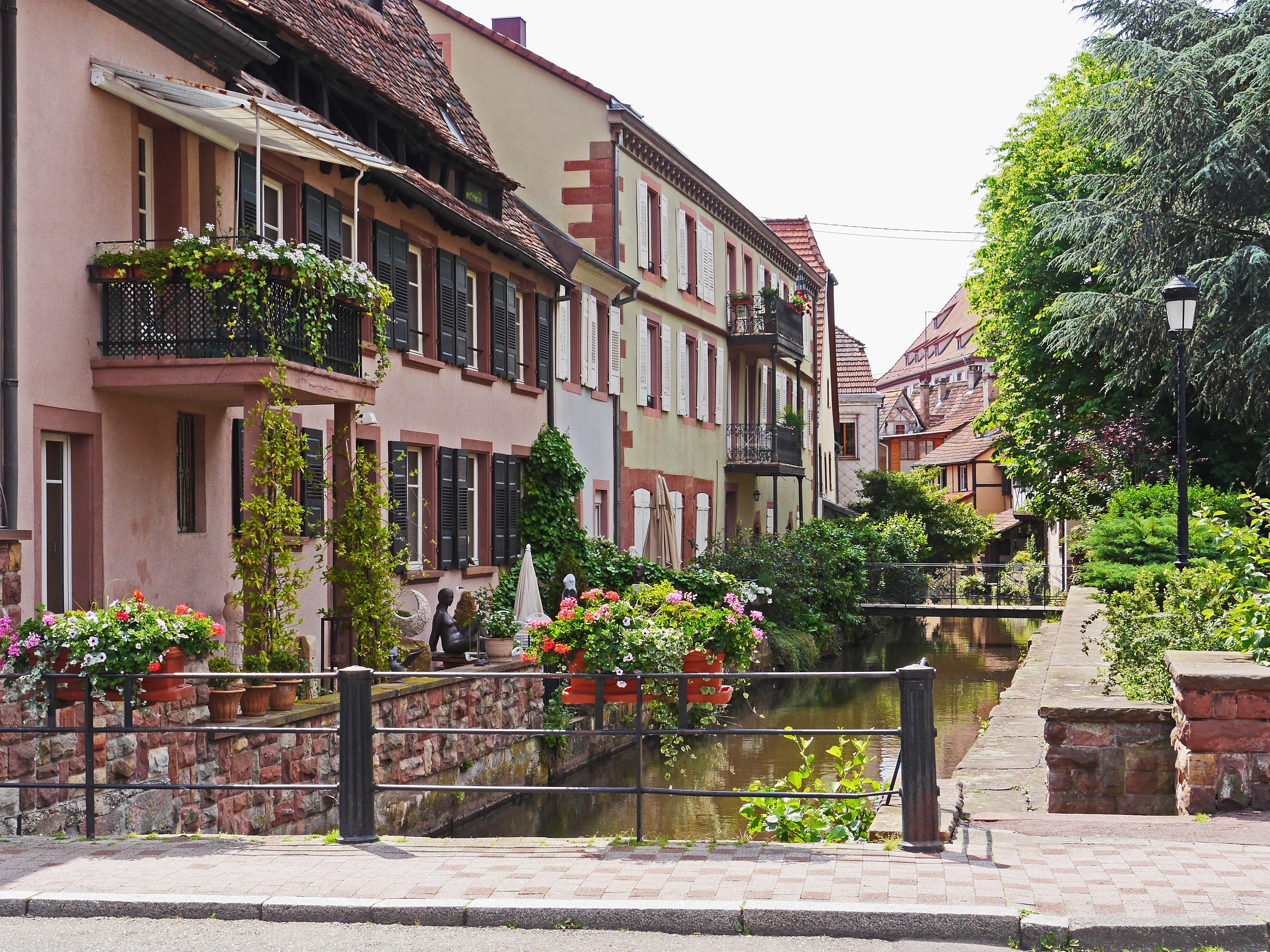 nature, day, outdoors, architecture, growth, bridges, alsace, river, france, park, 4K, railing, tree, potted plant, house, city, building, plant, wissembourg, HD Wallpaper