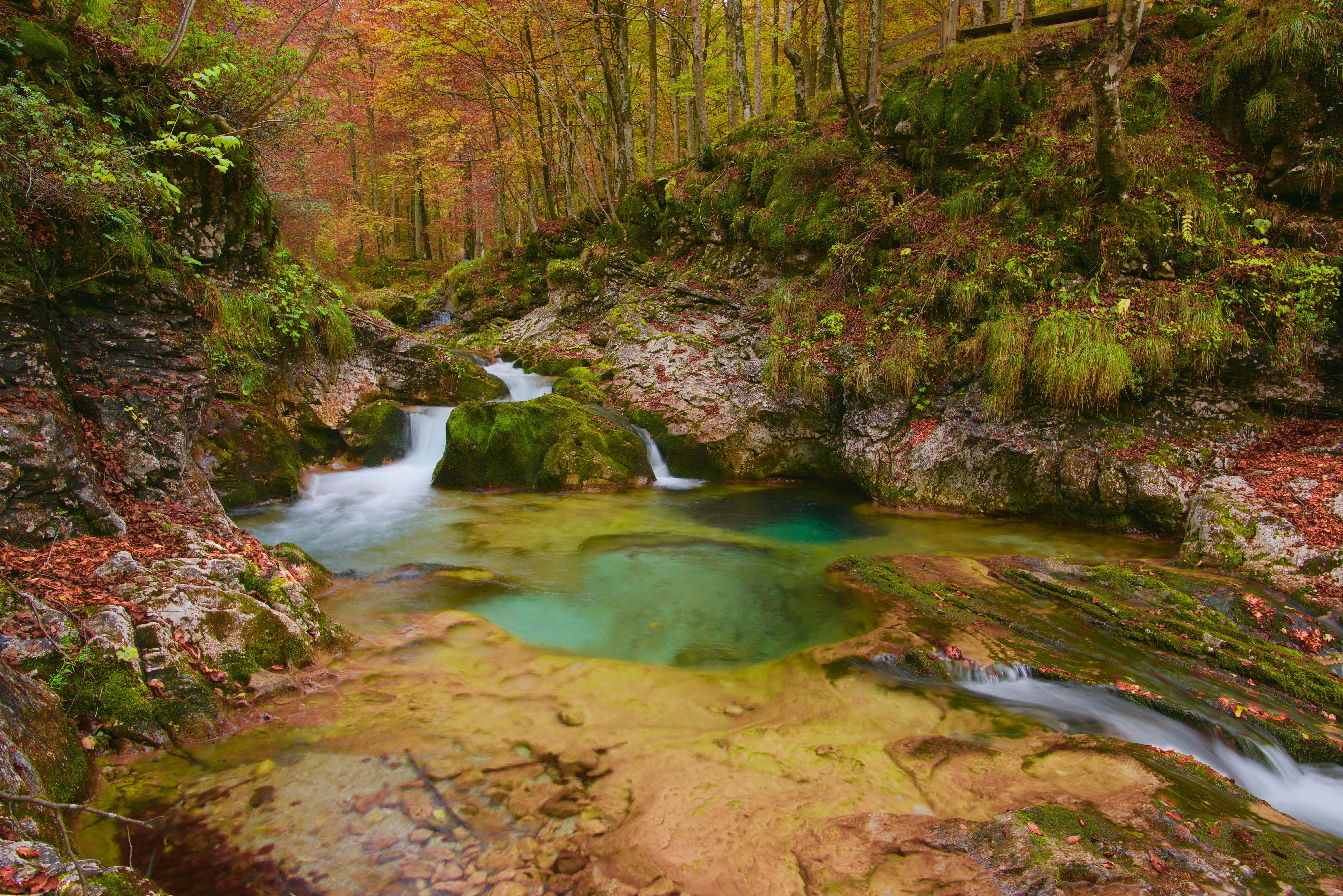 plant, autumn woods, flowing water, rainforest, outdoors, nature, 5K, solid, water, river, waterfall, rock, beauty in nature, land, tranquility, autumn, HD Wallpaper
