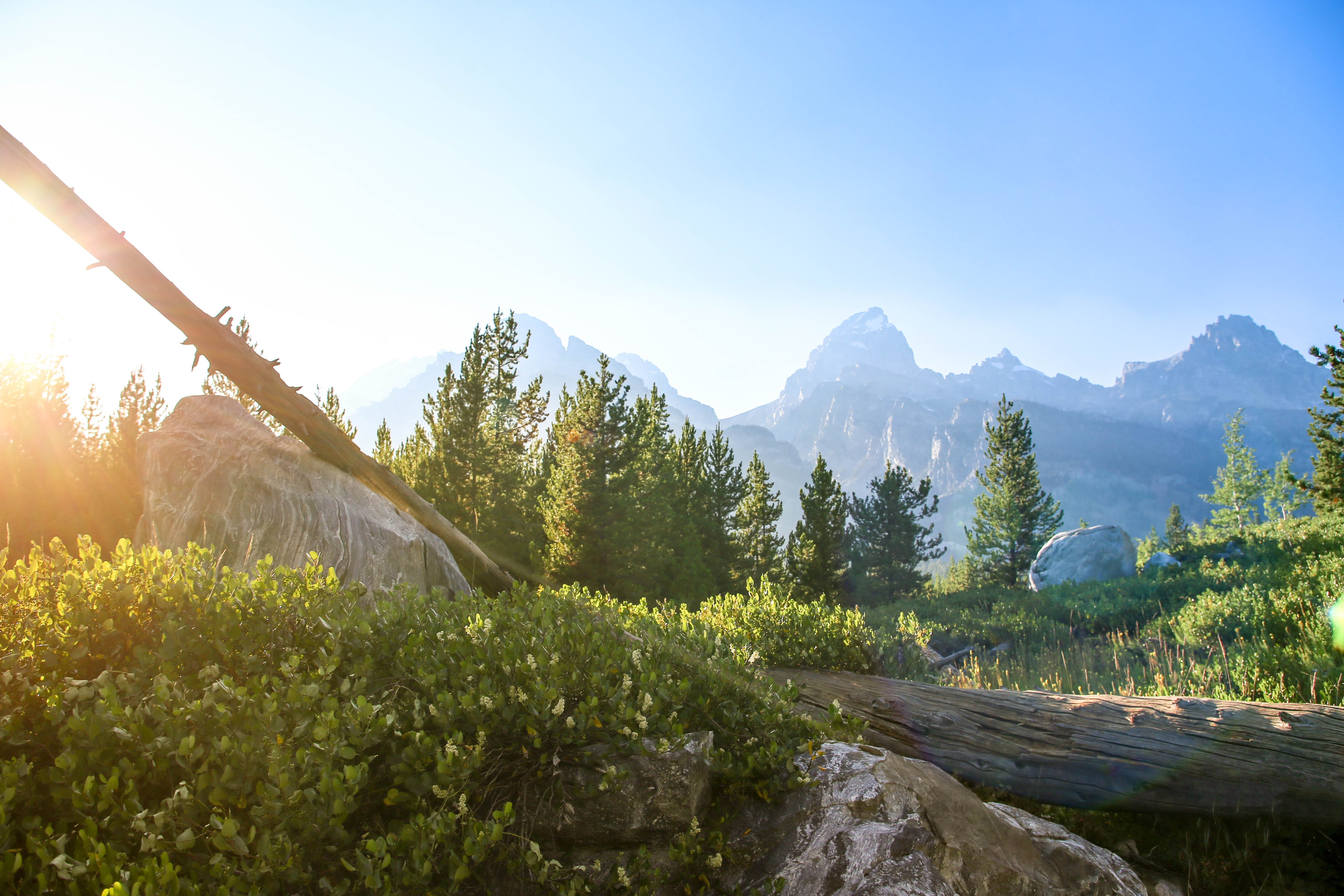 tranquility, tranquil scene, environment, mountains, jackson hole, sunlight, grand tetons, sun flare, growth, nature, taggart lake, beauty in nature, mountain, HD Wallpaper