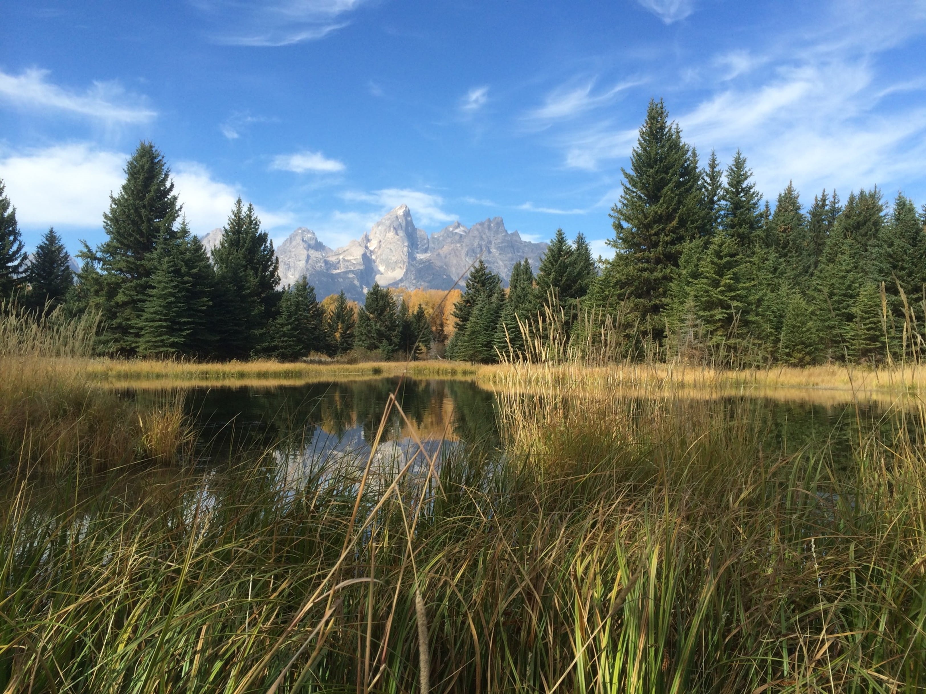 sky, day, conifer, schwabachers landing, land, reflection, grand teton national park, swamp, cloud - sky, fir, tree, 2K, no people, non-urban scene, HD Wallpaper