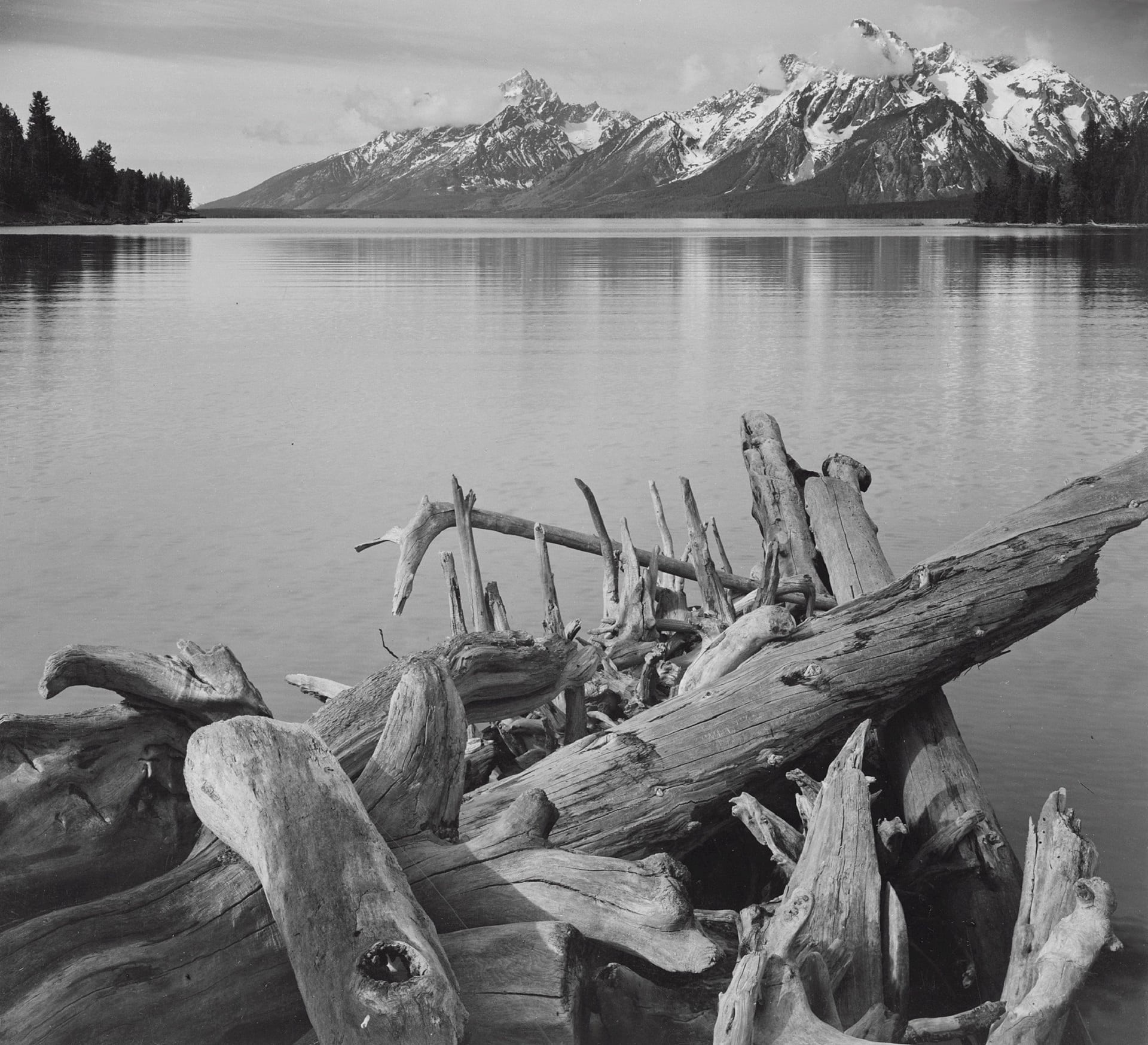 scenery, beach, snow, plant, mountain, driftwood, tranquility, scenics - nature, 1080P, tree, water, tranquil, outdoors, timber, tranquil scene, tetons, HD Wallpaper