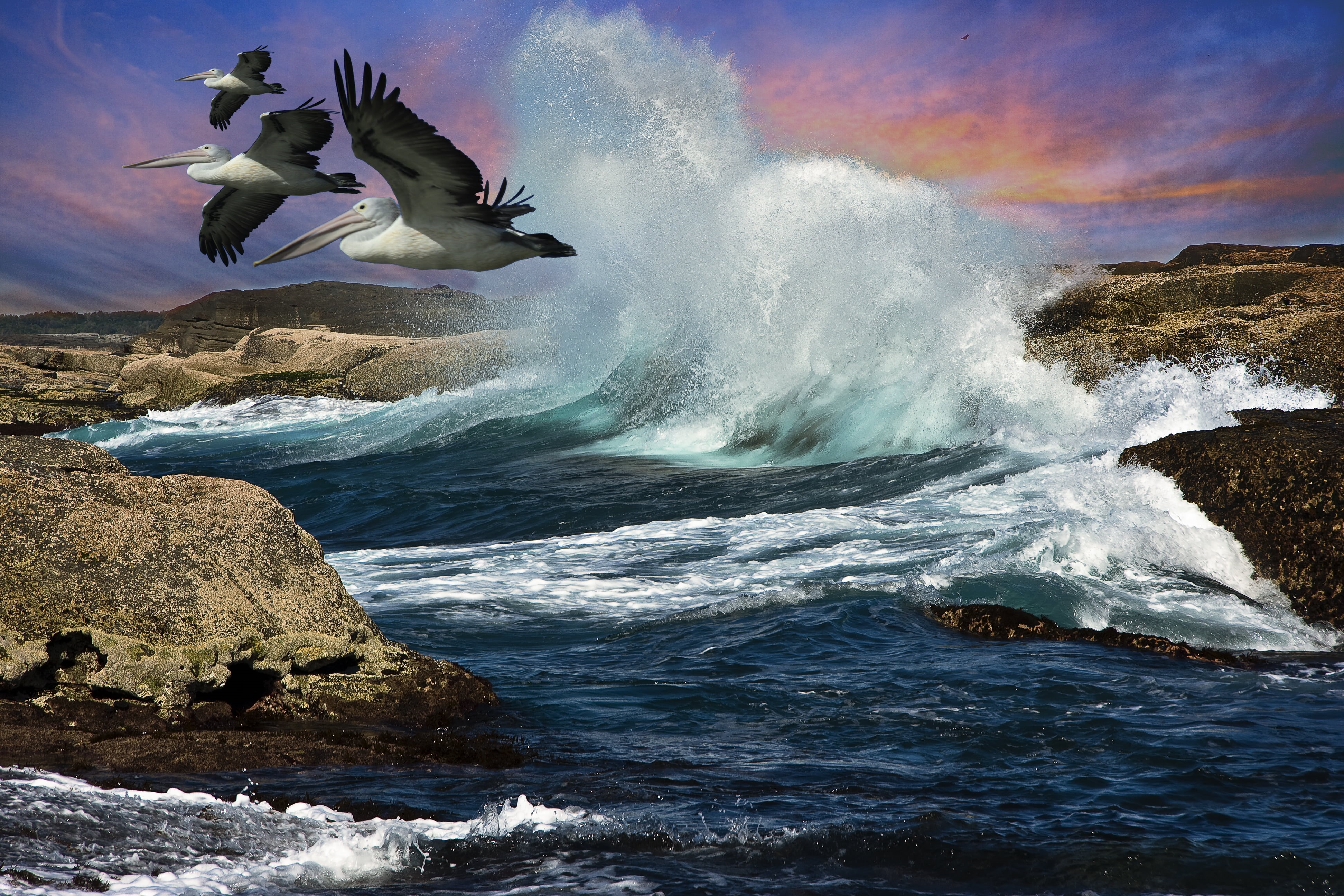 seawaves, Seascape, National Park, Shots, geo, sea, water, 4K, National  Park, Australia, Pelicans, Top, flying, Pelecanus conspicillatus, blue sky, wave, HD Wallpaper