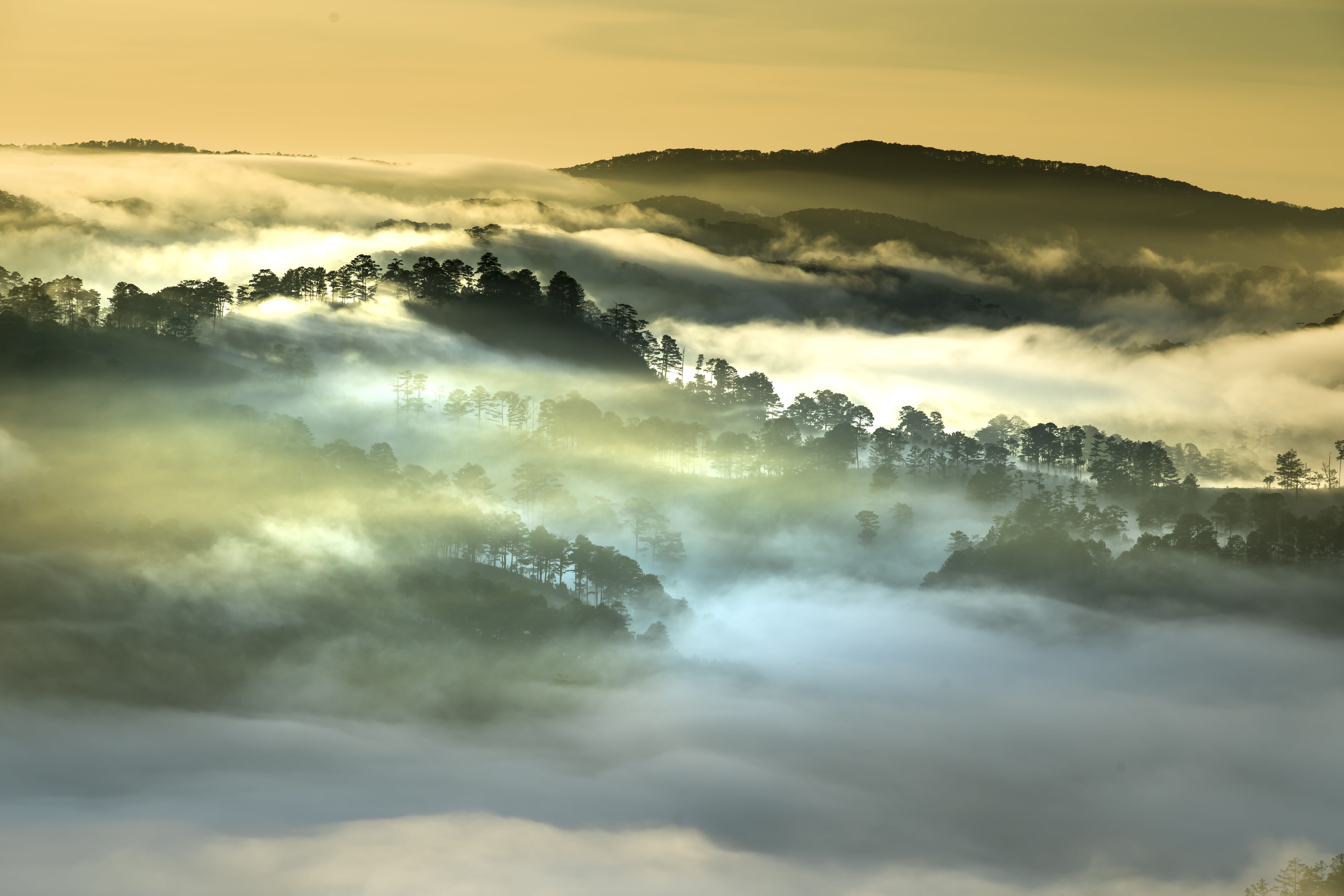 vegetables, road, most, paradise, environment, forest, travel, beauty in nature, wild, morning, magic, foggy, scenics - nature, sunrise - dawn, no people, HD Wallpaper