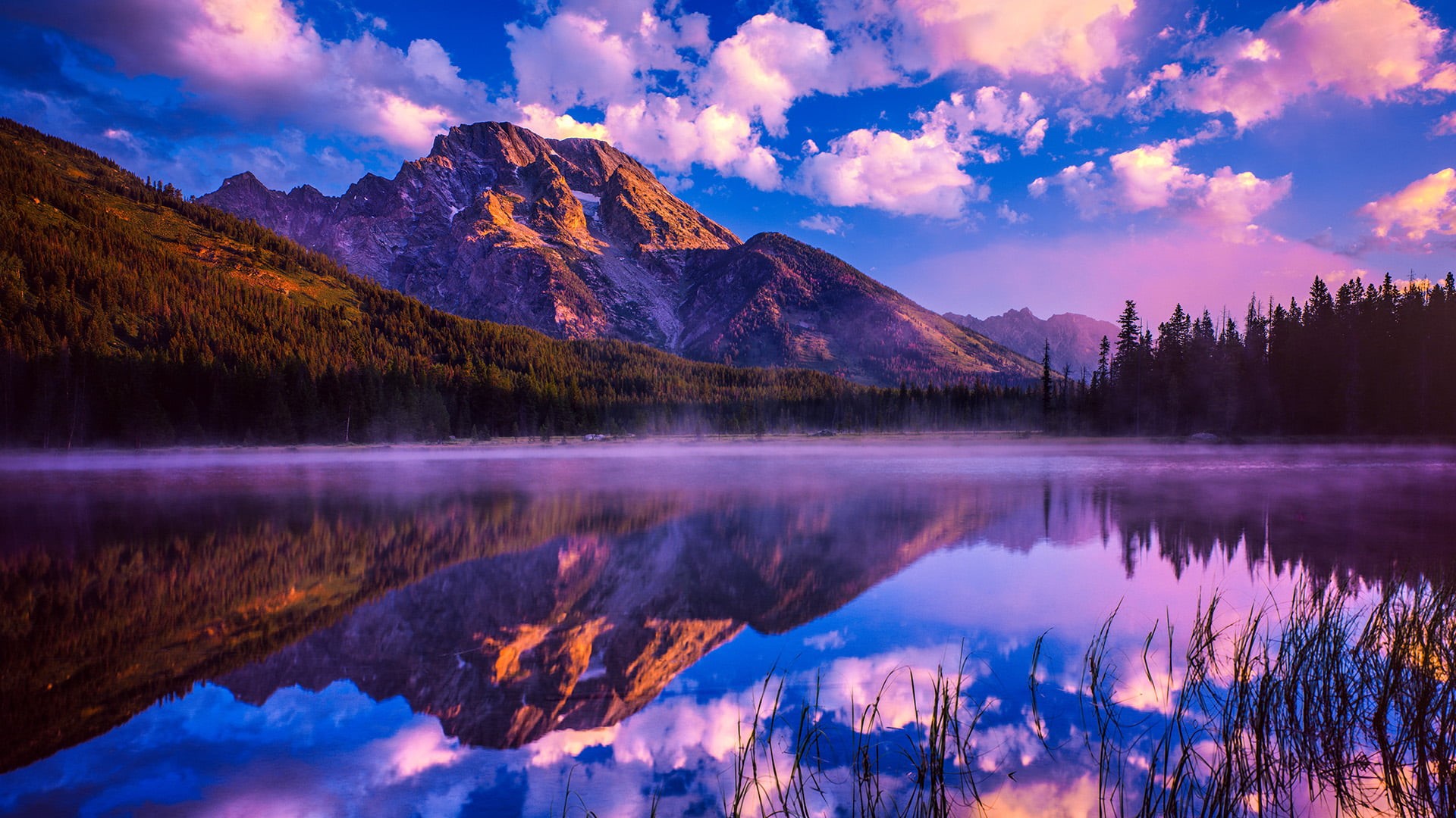 nature, Wyoming, sky, landscape, sunlight, mount moran, clouds, trees, lake, reflects, dawn, Grand Teton National Park, 1080P, plants, USA, forest, HD Wallpaper