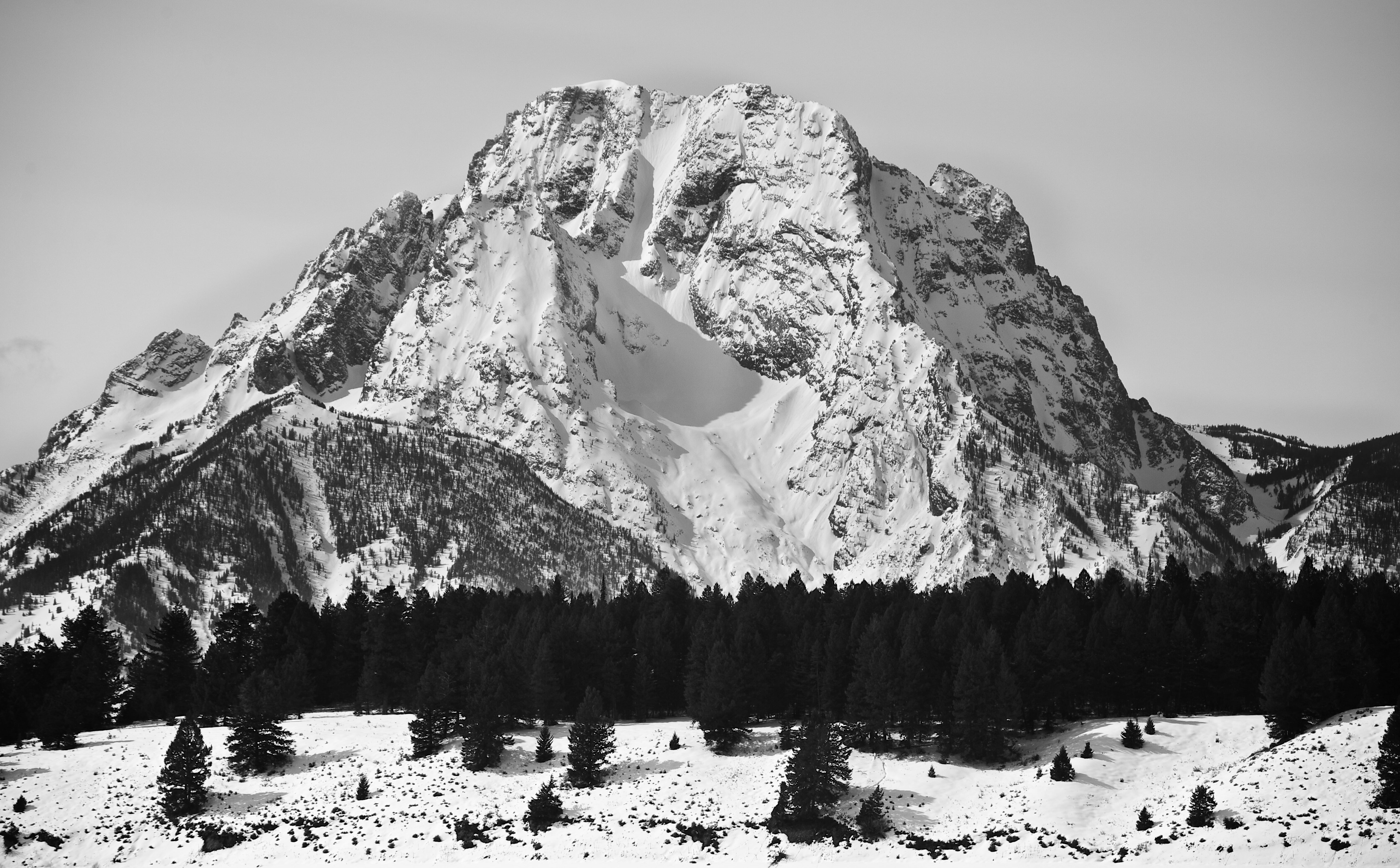 march, Mark, Cold, Natural, Mount, tree, low angle view, mountain, summit, sky, rugged, outdoors, Snowy, Jackson, Black and White, Winter, Tetons, Grand, HD Wallpaper
