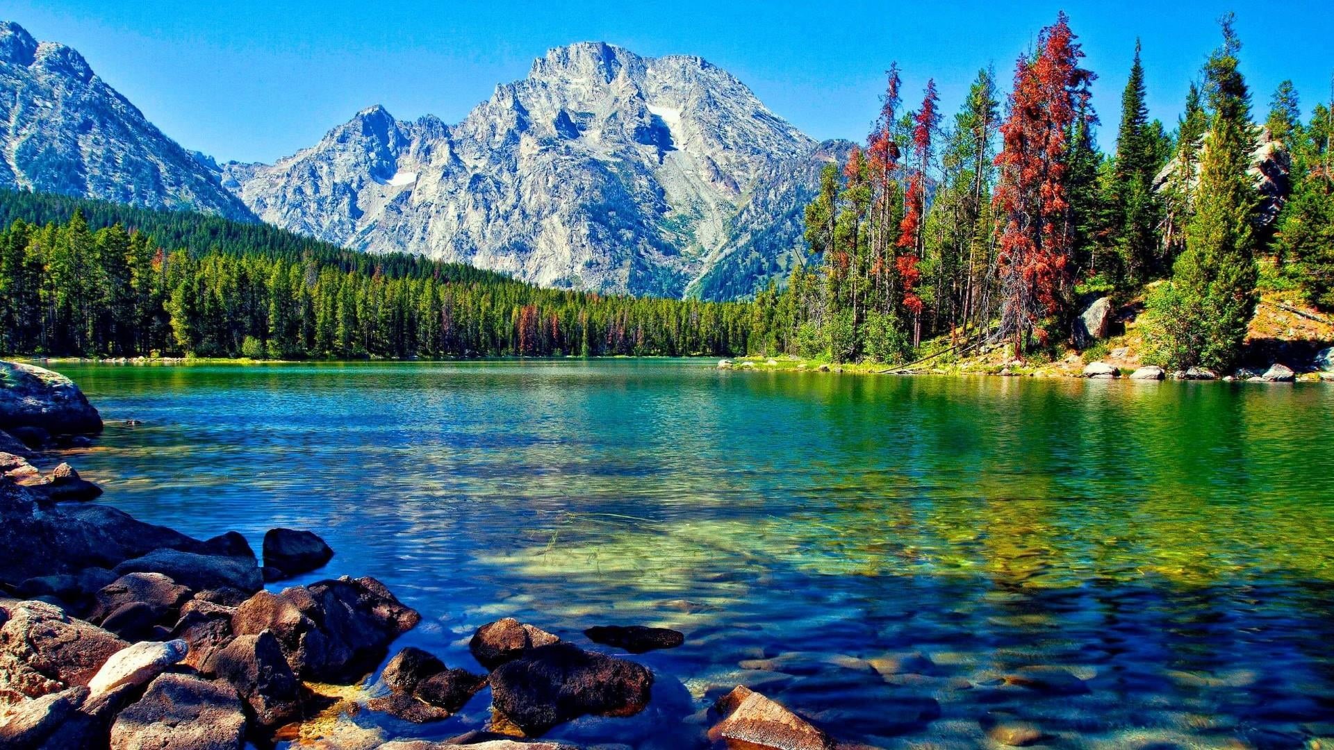 nature, lake, usa, coniferous tree, solid, rock - object, outdoors, forest, rock, tranquility, mountains, pine tree, tree, scenics - nature, landscape, HD Wallpaper