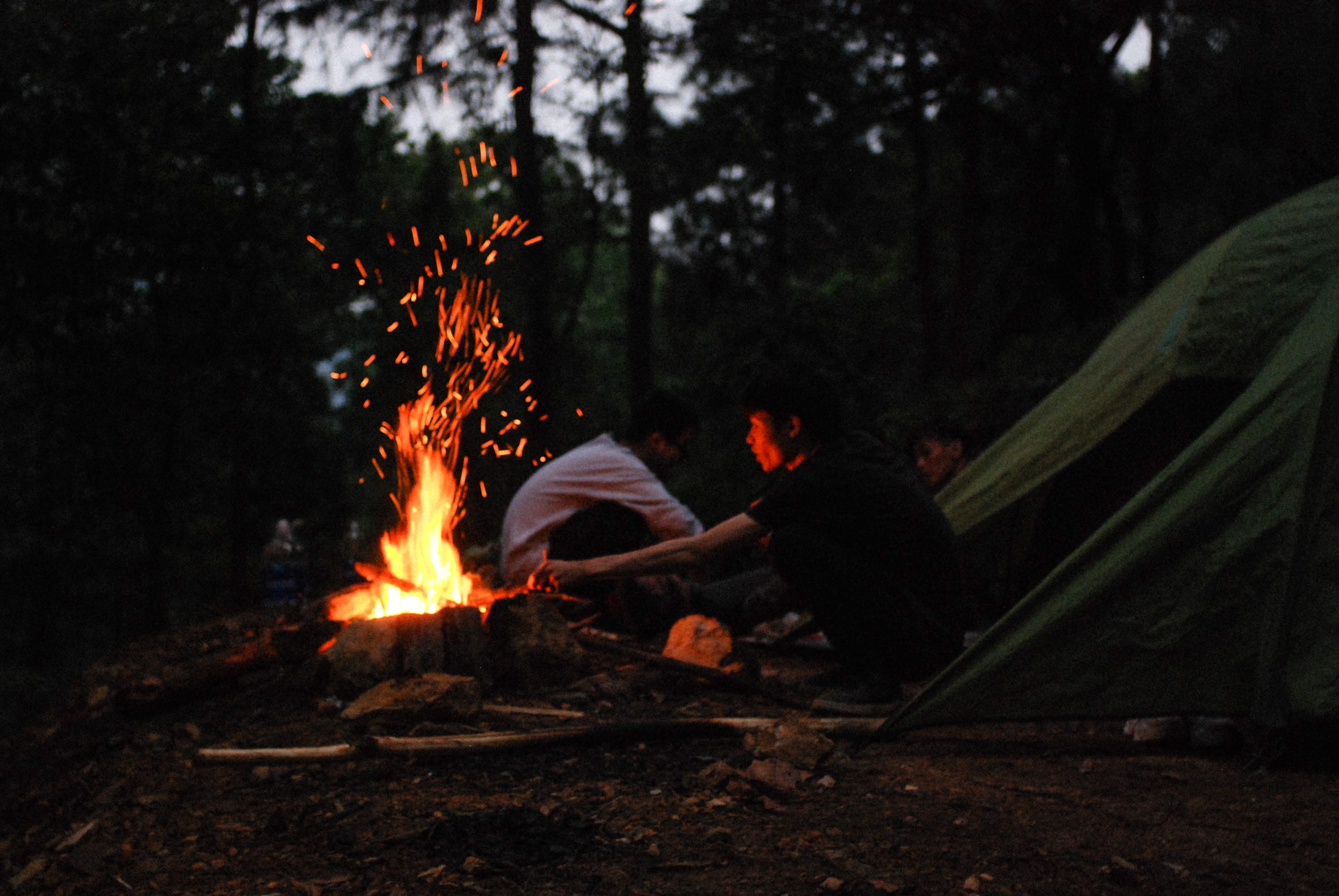 hanoi, relaxation, flame, nikon, film grain, dark, nikon camera, human, men, land, full length, camping, side view, bonfire, noise, forest, outdoors, picnic, HD Wallpaper