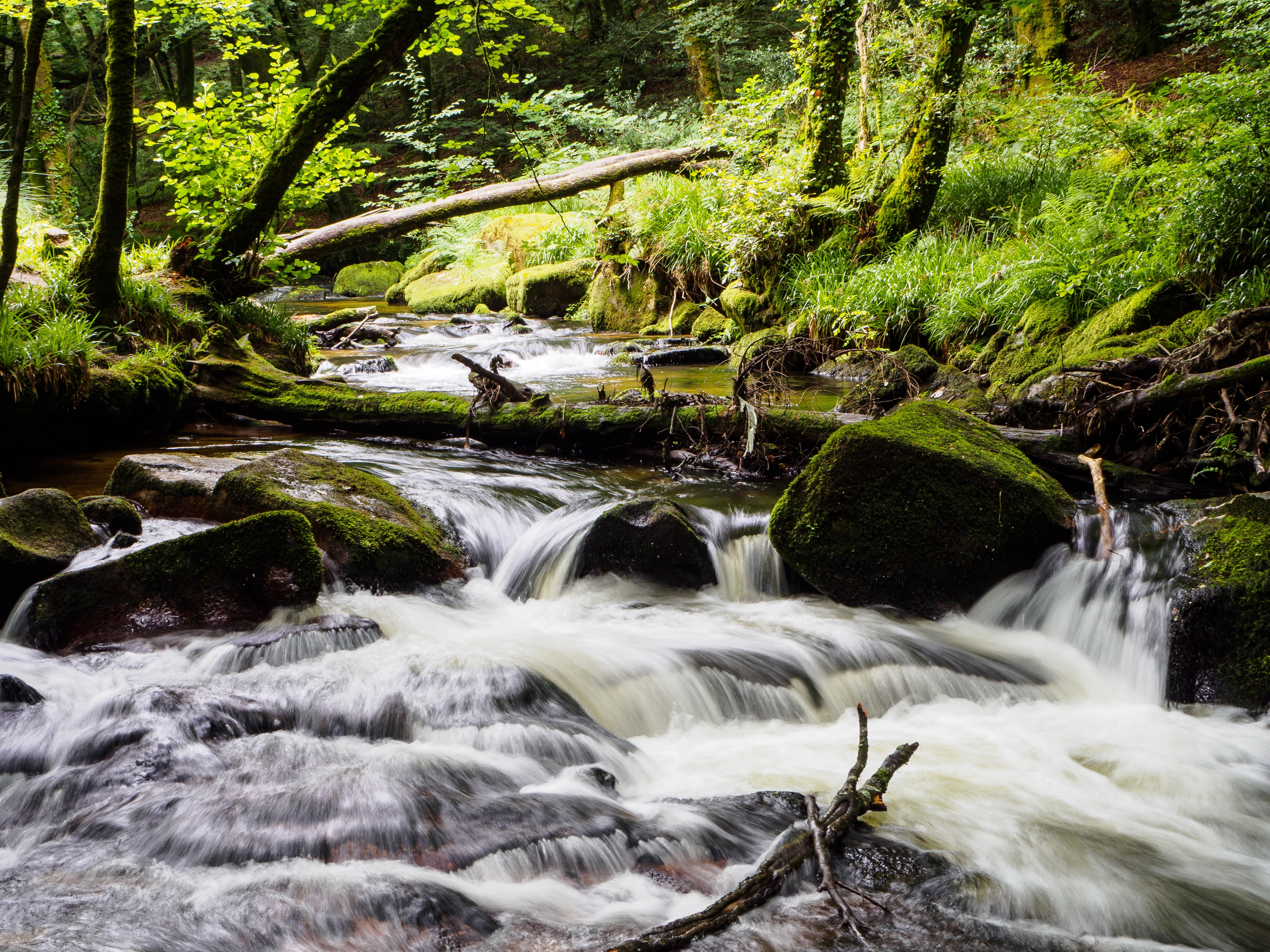exif, scenics, ƒ / 13, lat, forest, outdoors, m.14, city, UK, lon, Cornwall, geo, green Color, waterfall, state, Events, rocks, beauty In Nature, Golitha Falls, HD Wallpaper