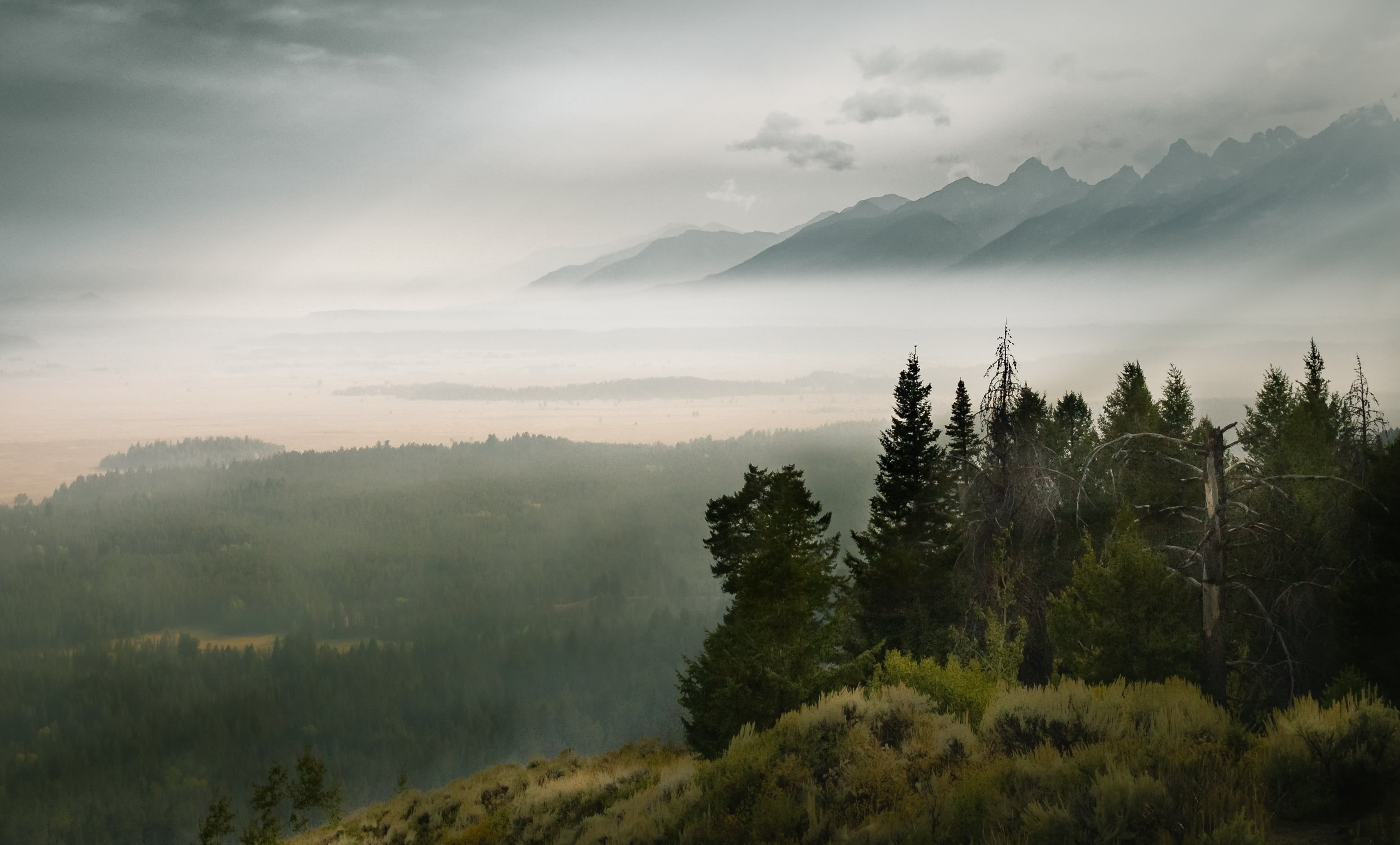 fall, beauty In Nature, sky, forest, view, EF, fog, mist, clouds, trees, nature, snake river valley, daytime, overlook, STM, leaved, aerial view, f/2.8, HD Wallpaper