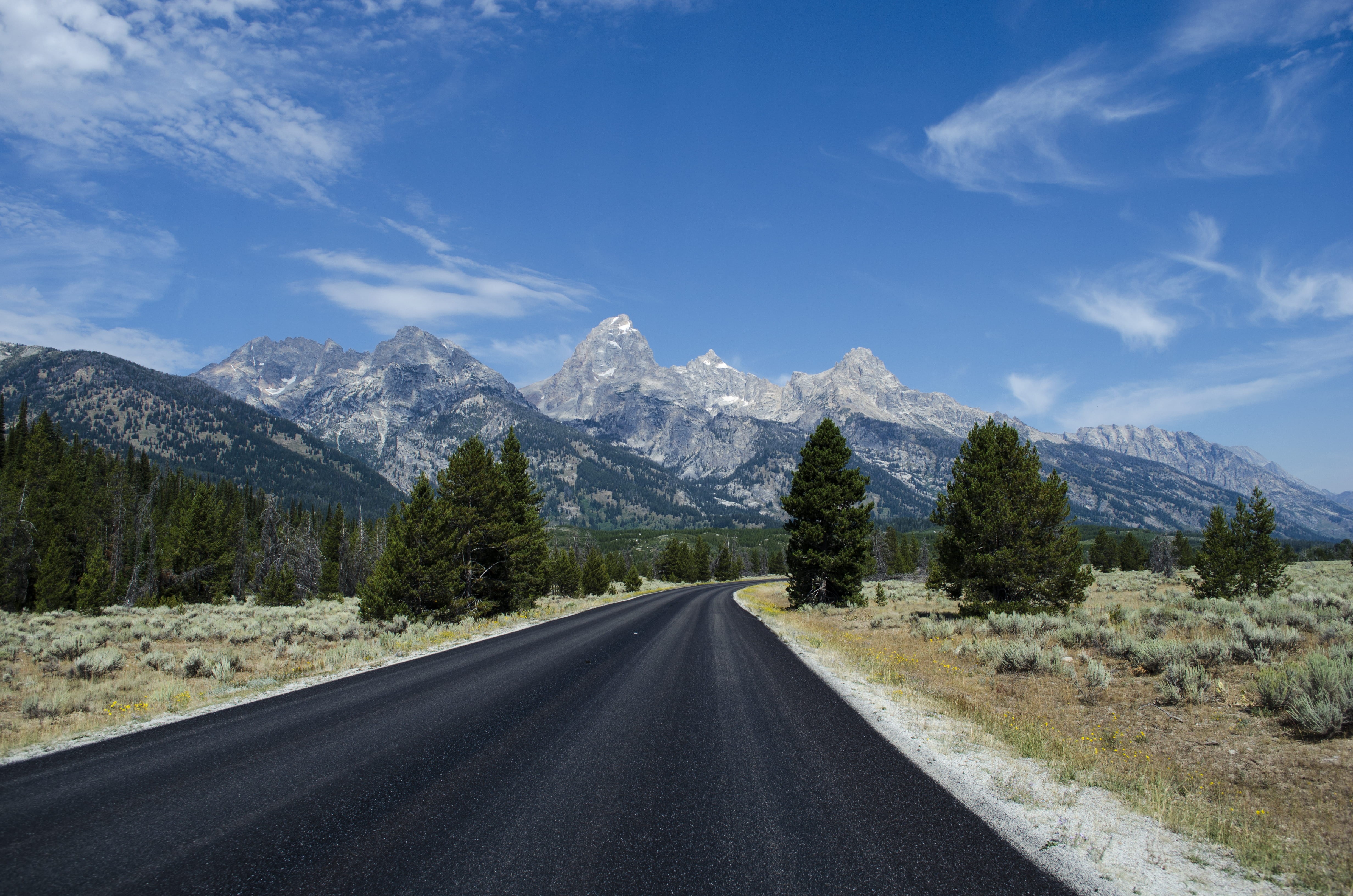 diminishing perspective, forest, road trip, tree, outdoors, rural, nature, non-urban scene, snow, park, overlooking, grand teton national park, direction, HD Wallpaper