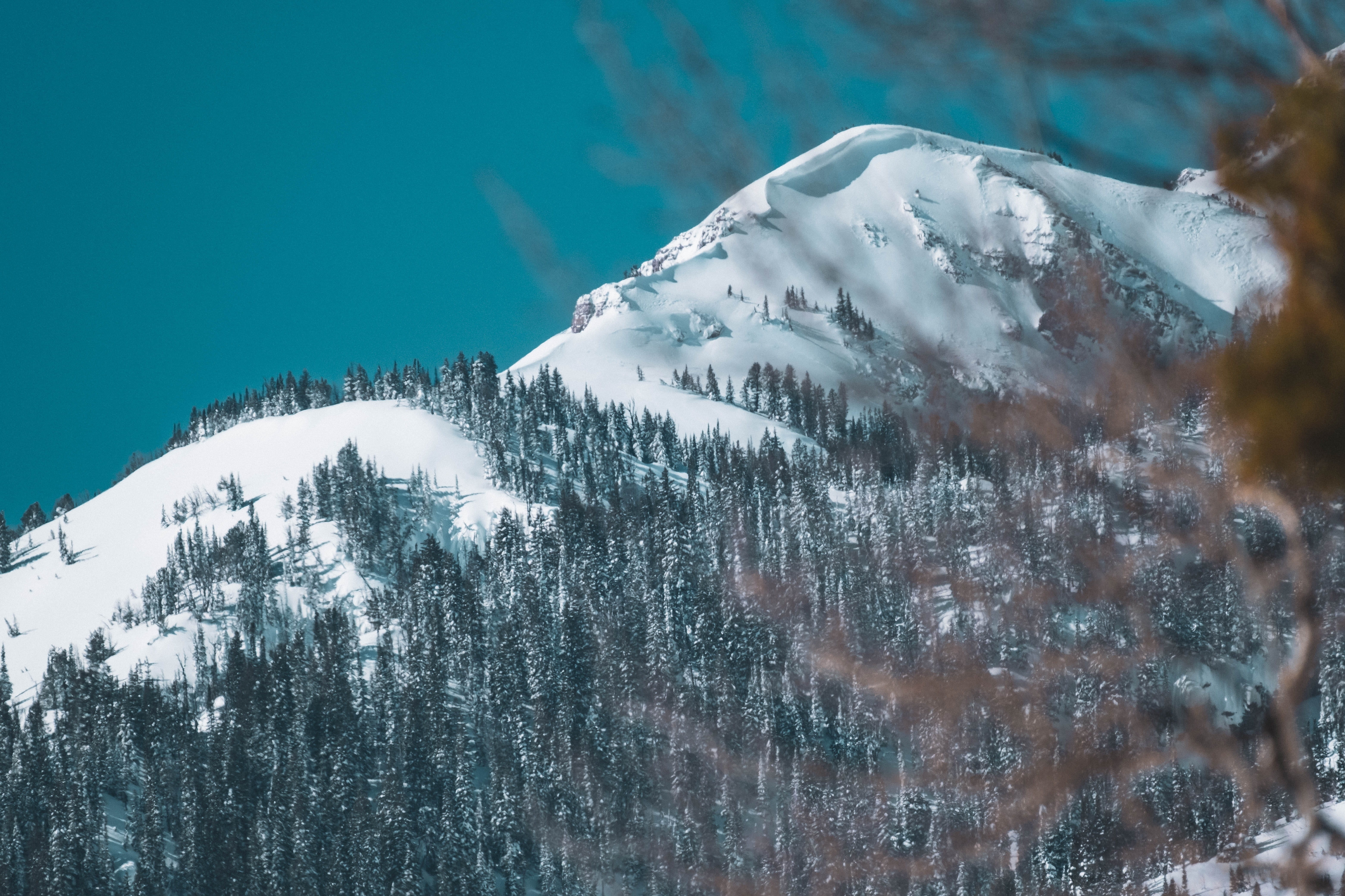 nature, tranquil scene, beauty in nature, grand teton national park, snow, national park, pine tree, environment, cold temperature, wyoming, tree, mountain, HD Wallpaper