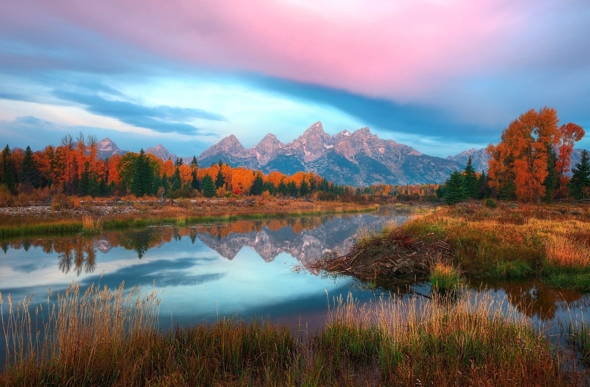 grass, lake, mountain range, Forest, The Teton Range, Mountain, tranquil scene, sky, Mountains, non-urban scene, scenics - nature, idyllic, beauty in nature, HD Wallpaper